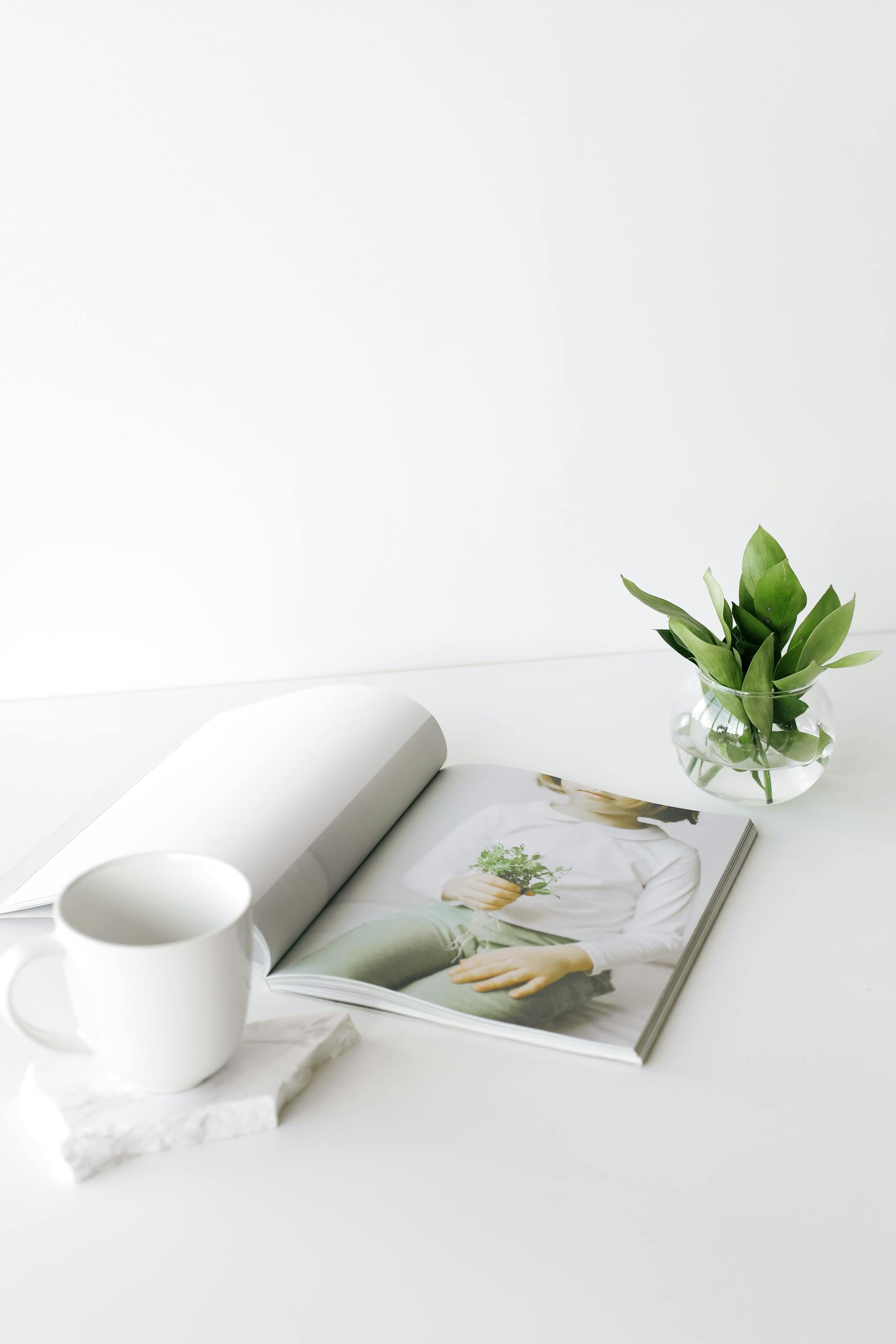 Un magazine sur une table basse | Source : Pexels