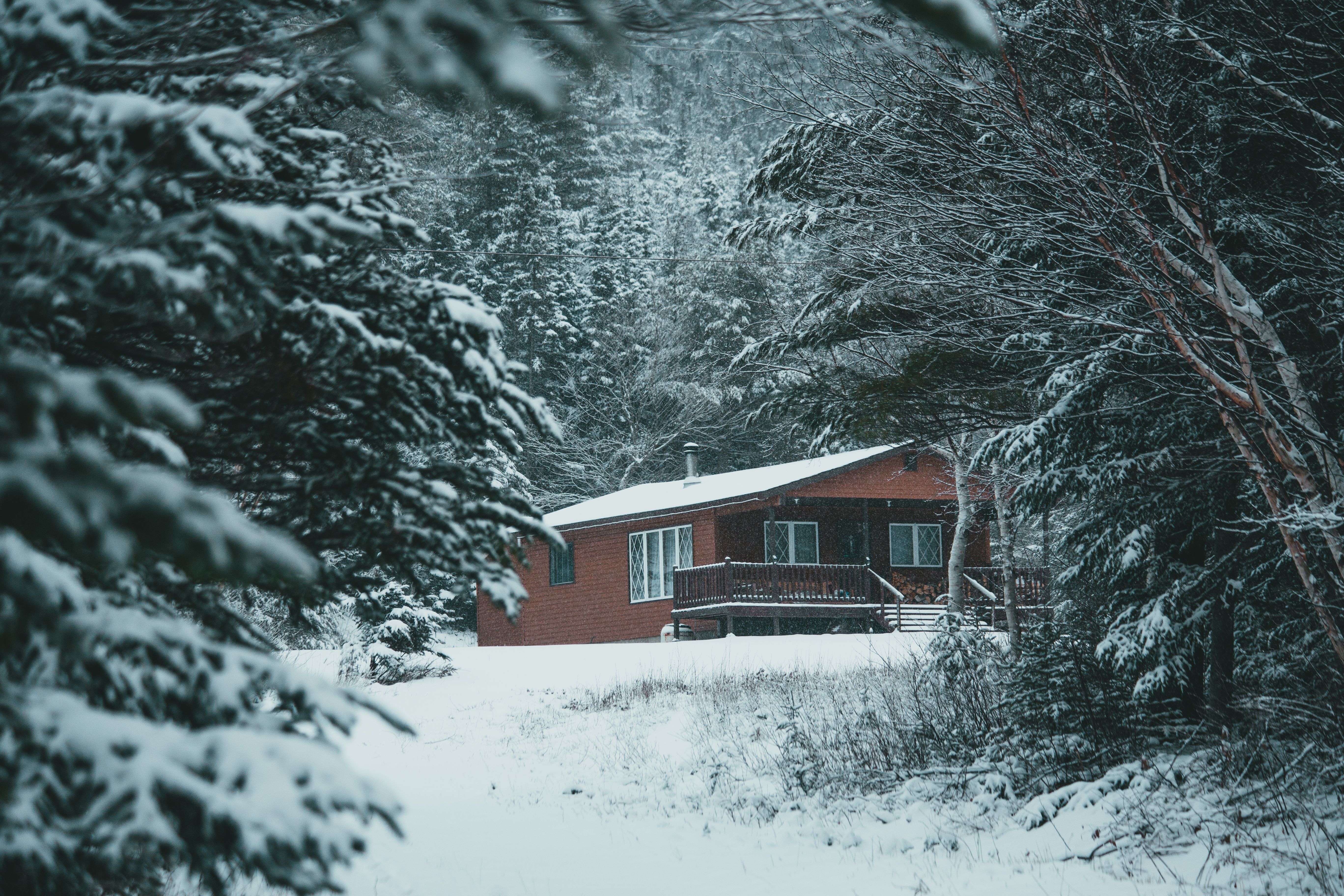 Une petite maison à la montagne | Source : Pexels