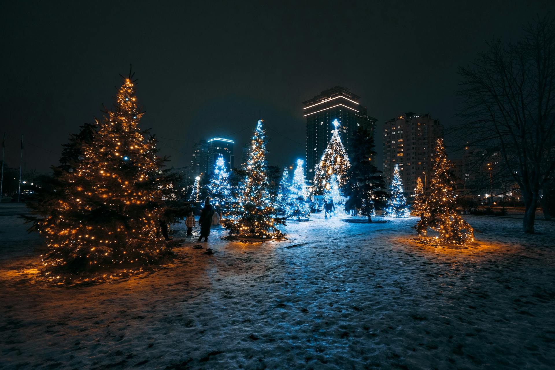 Des décorations de Noël sur les sapins | Source : Pexels