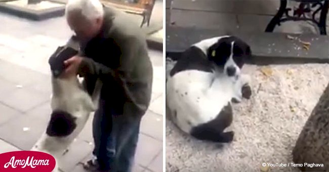 Cet homme repère le chien qu'il a perdu il y a 3 ans dans la rue: la caméra filme leurs retrouvailles en larmes