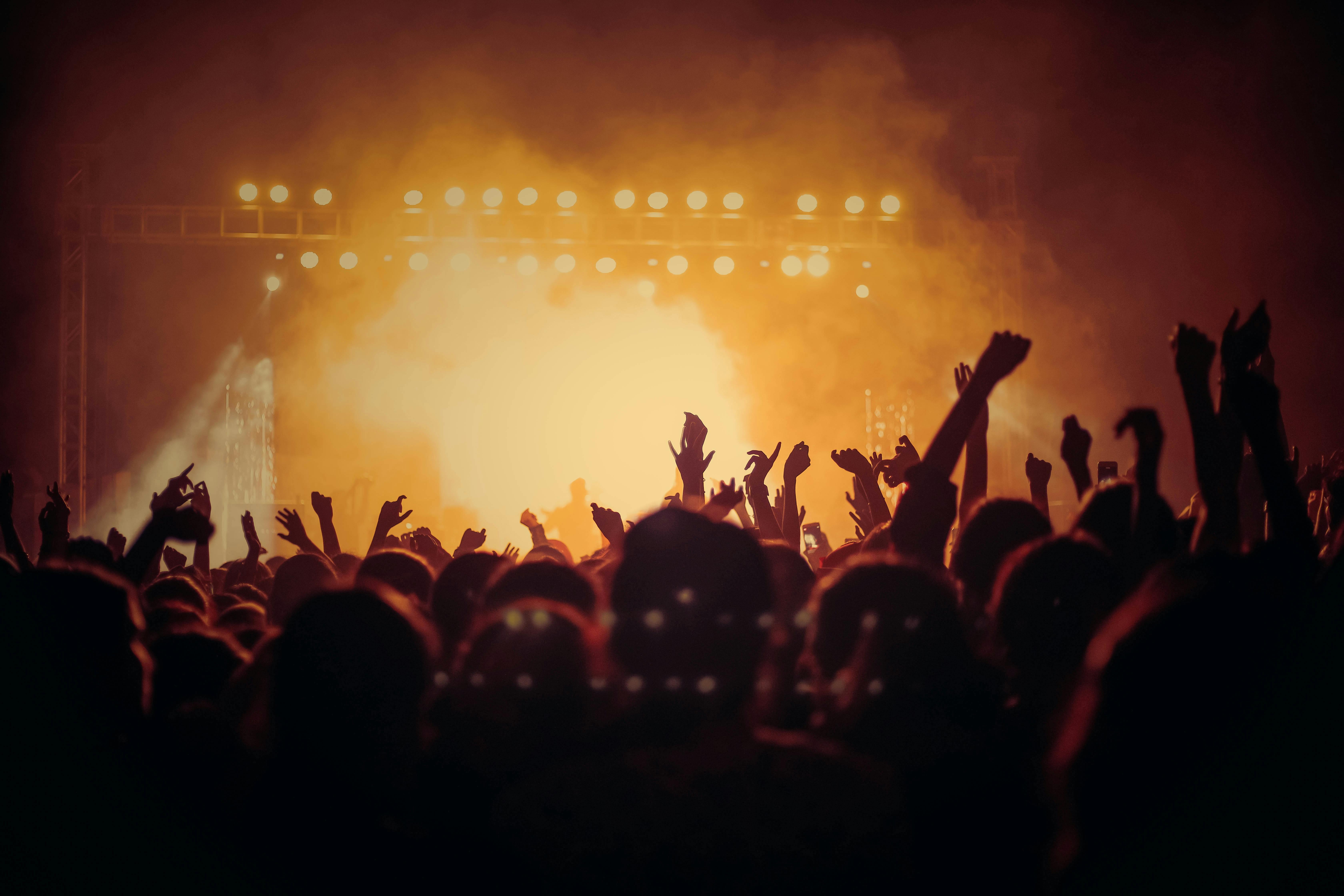 Des fans lors d'un concert | Source : Pexels
