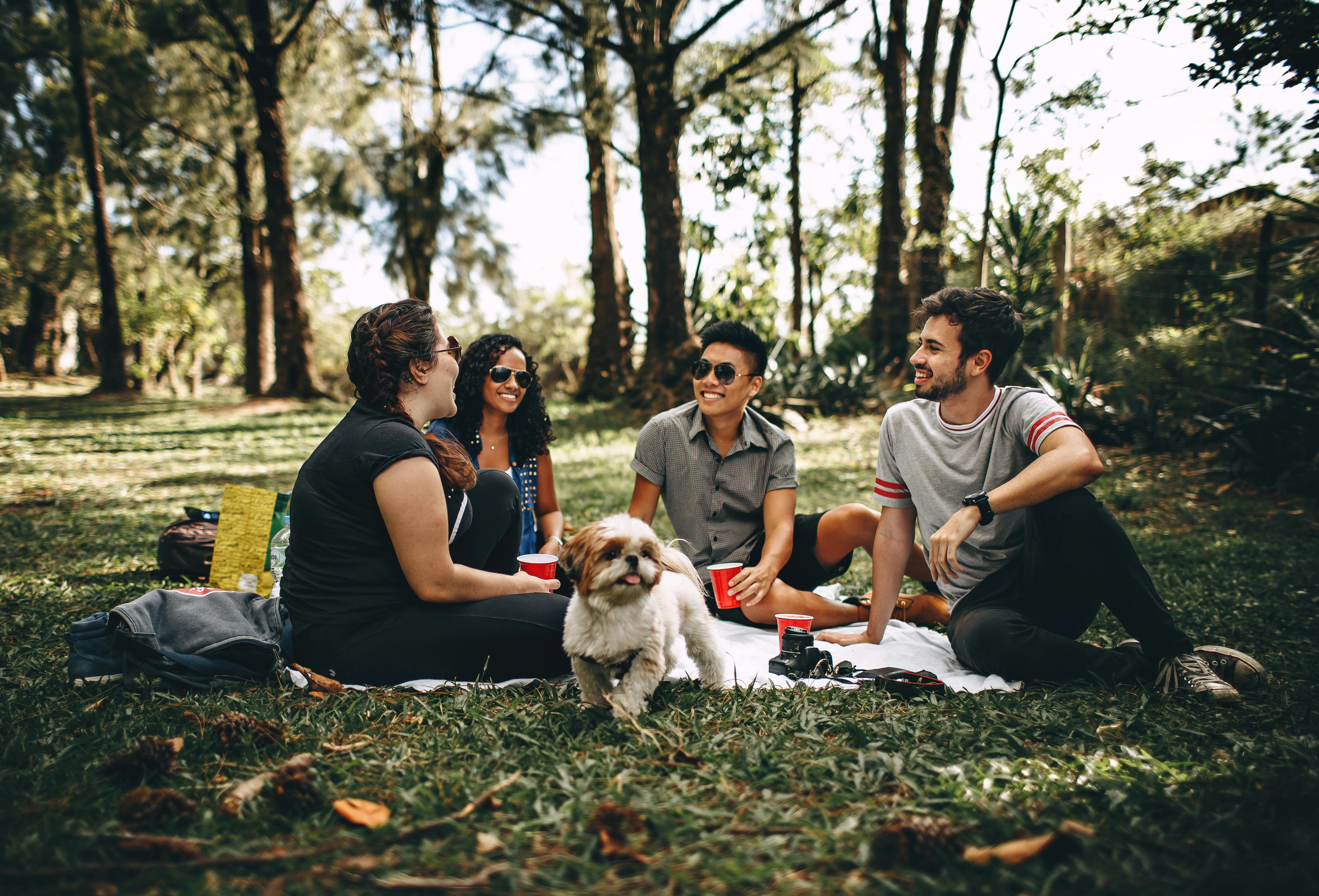 Des amis en pique-nique | Source : Pexels