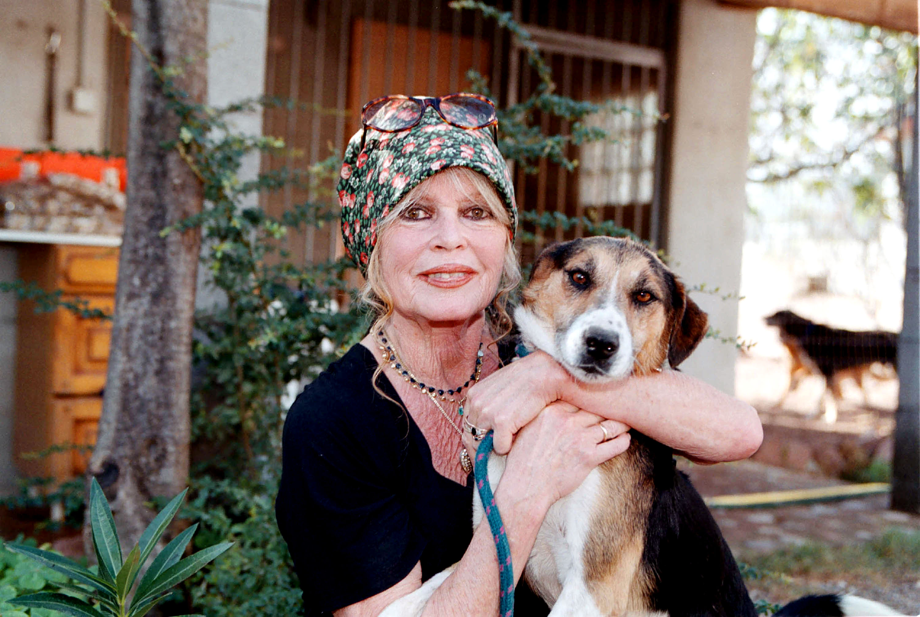 Brigitte Bardot dans son refuge pour chiens "The Nice Dogs" à Paris, France, le 7 octobre 2001 | Source : Getty Images