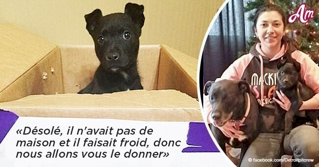 Histoire émouvante: un chien mignon qui a été abandonné dans une boîte avec une note déchirante de son propriétaire, est adopté