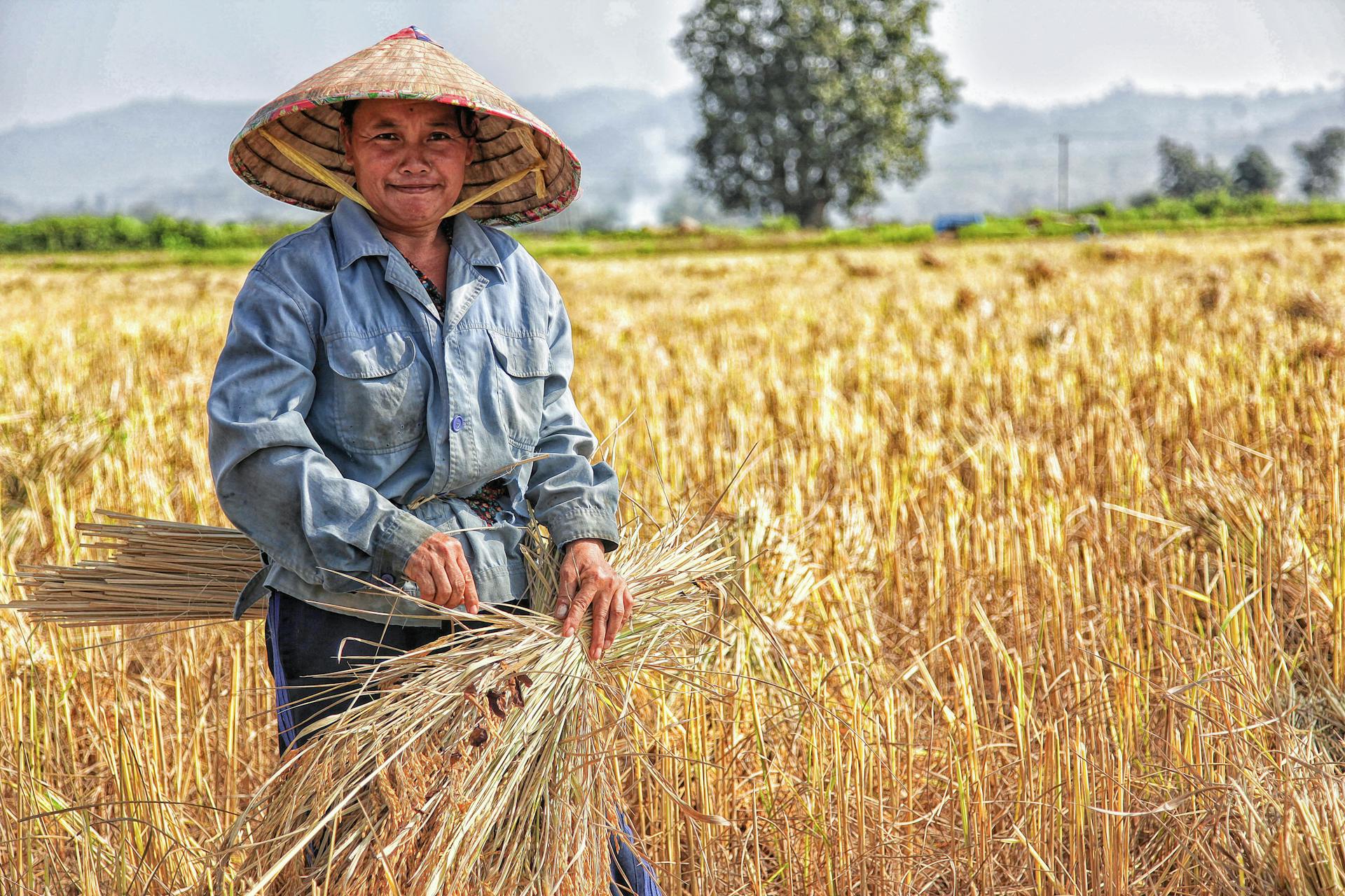 Un agriculteur | Source : Pexels