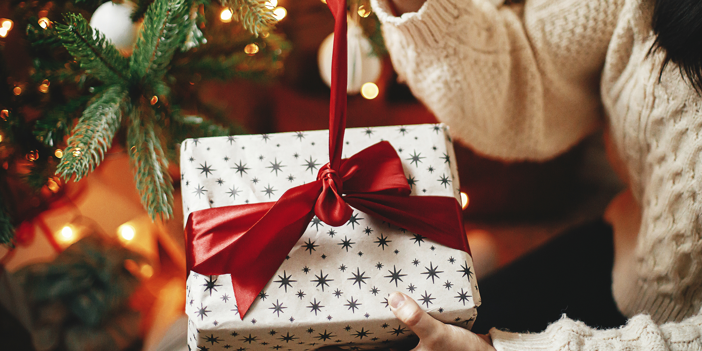 Un cadeau de Noël | Source : Shutterstock