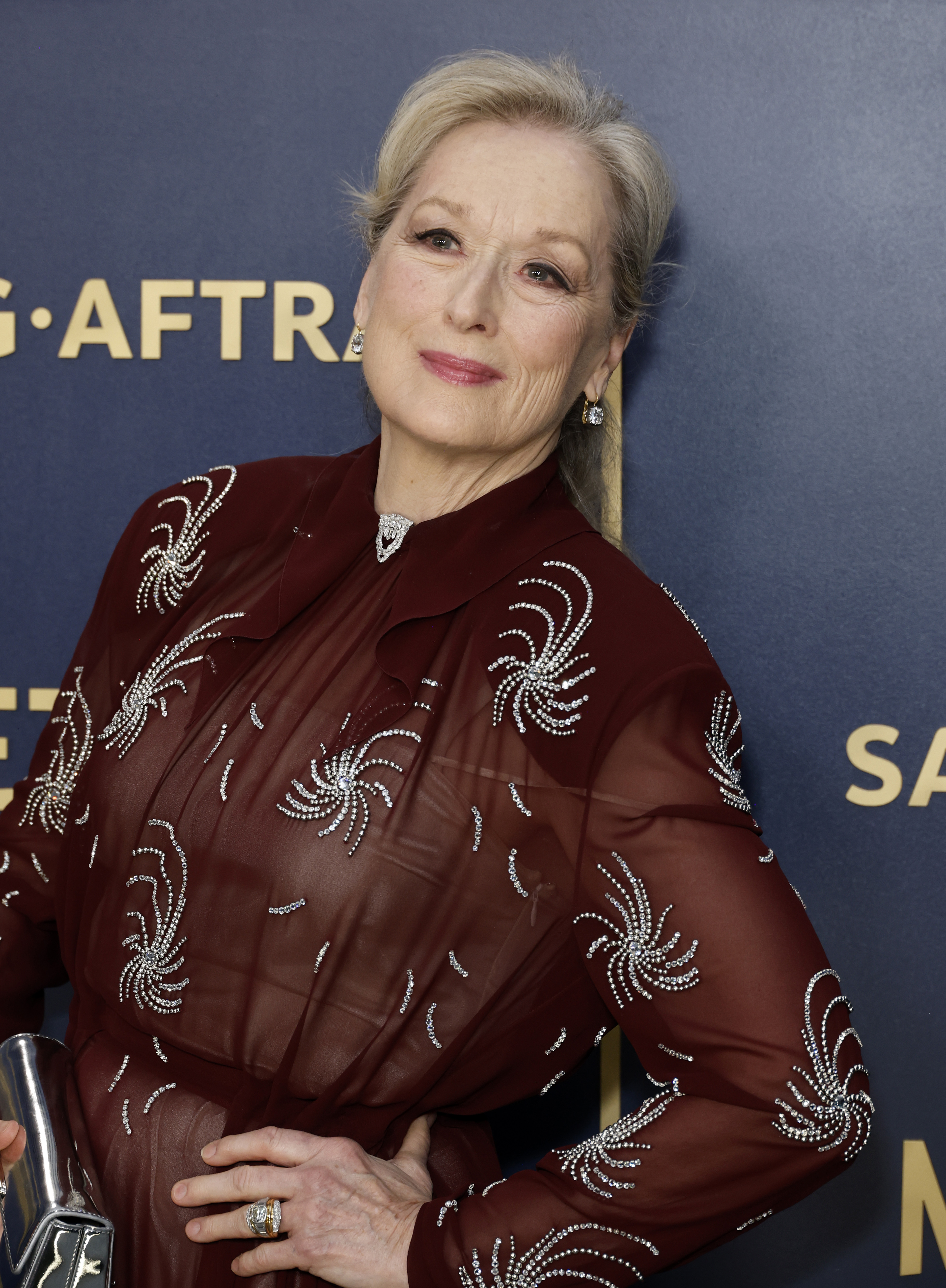 Meryl Streep assiste à la 30e cérémonie annuelle des Screen Actors Guild Awards le 24 février 2024 | Source : Getty Images