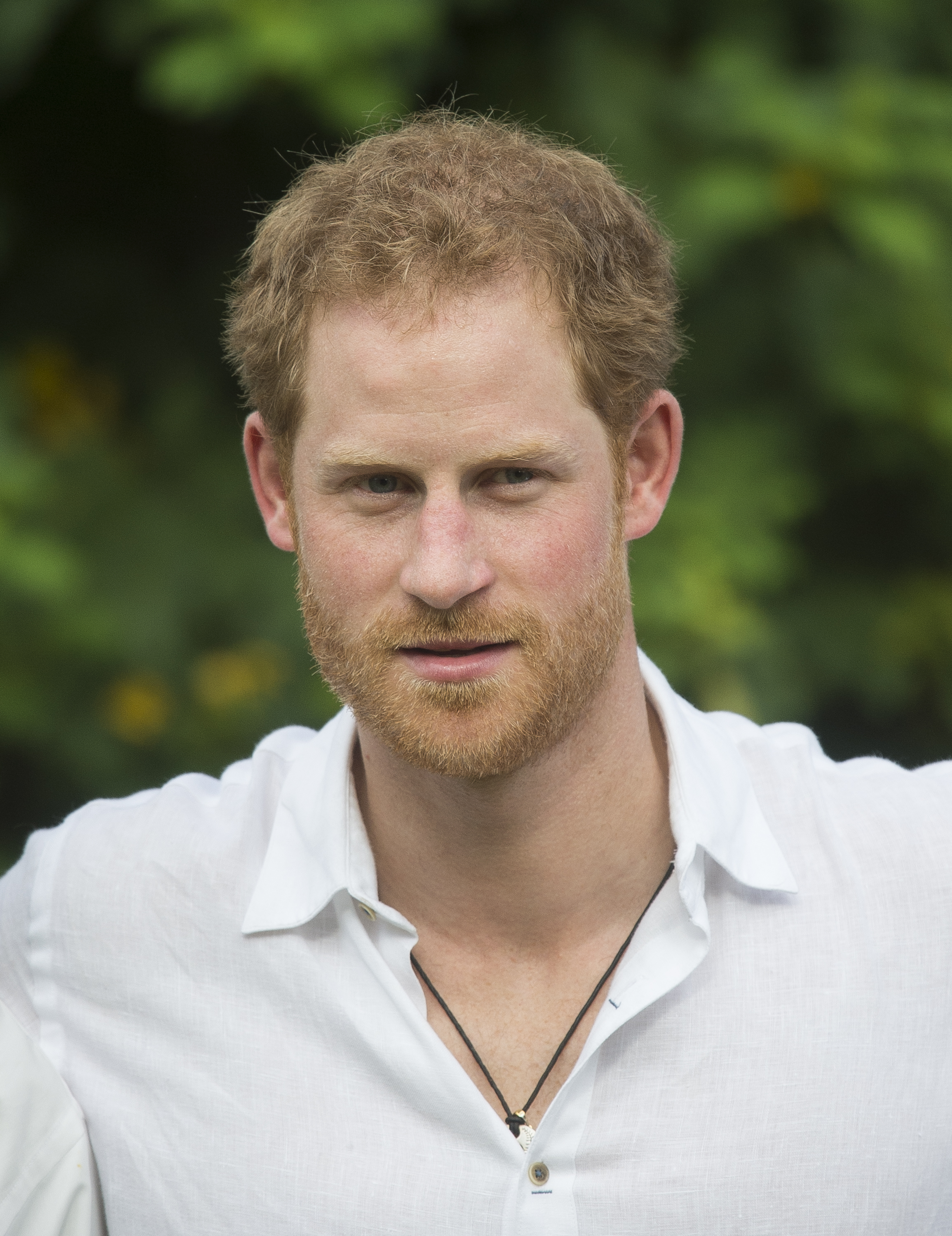 Le prince Harry visite le jardin botanique de Victoria Park, le 22 novembre 2016, à Barbuda, Antigua-et-Barbuda. | Sources : Getty Images