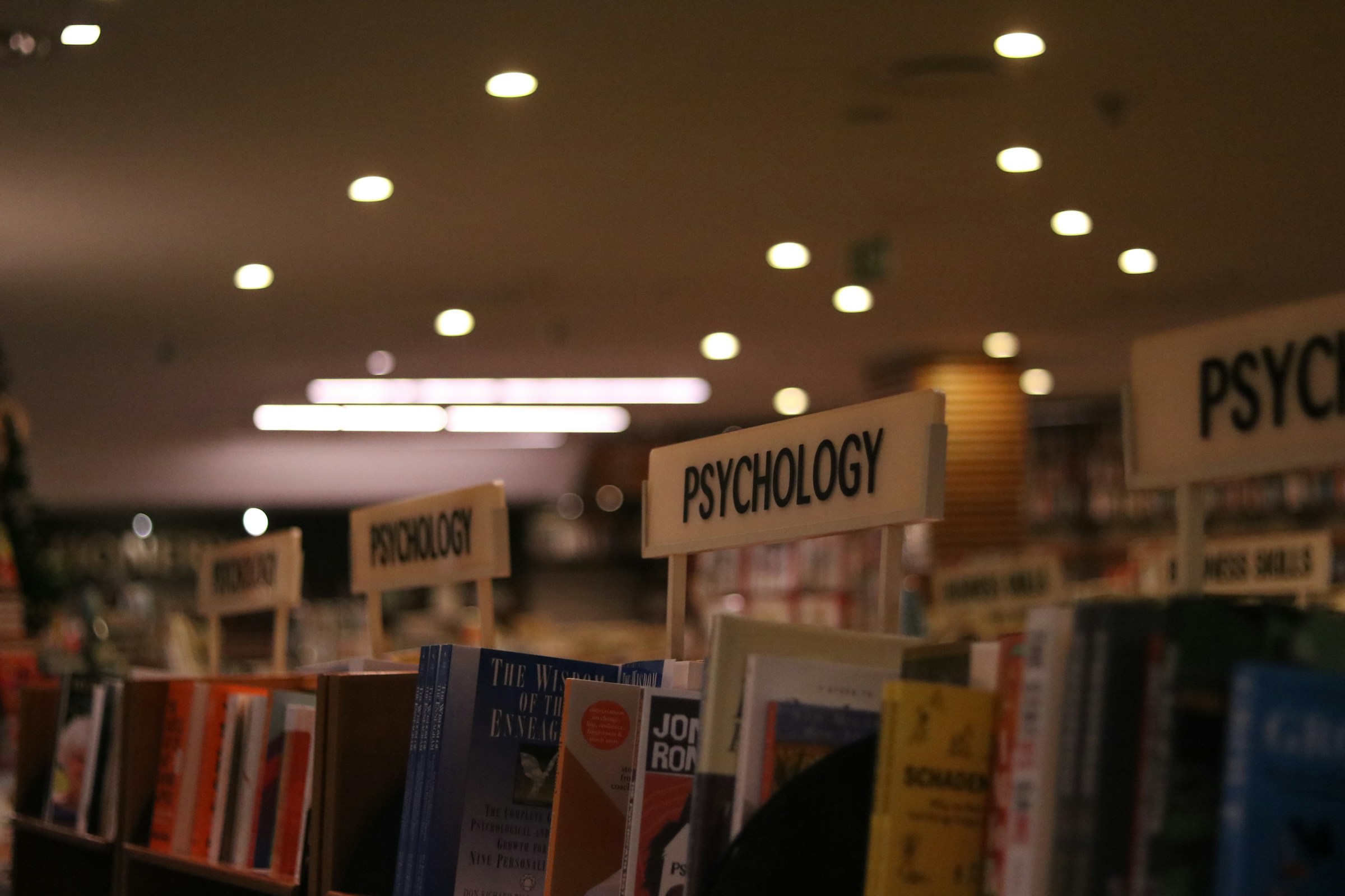 Une rangée de manuels de psychologie | Source : Unsplash