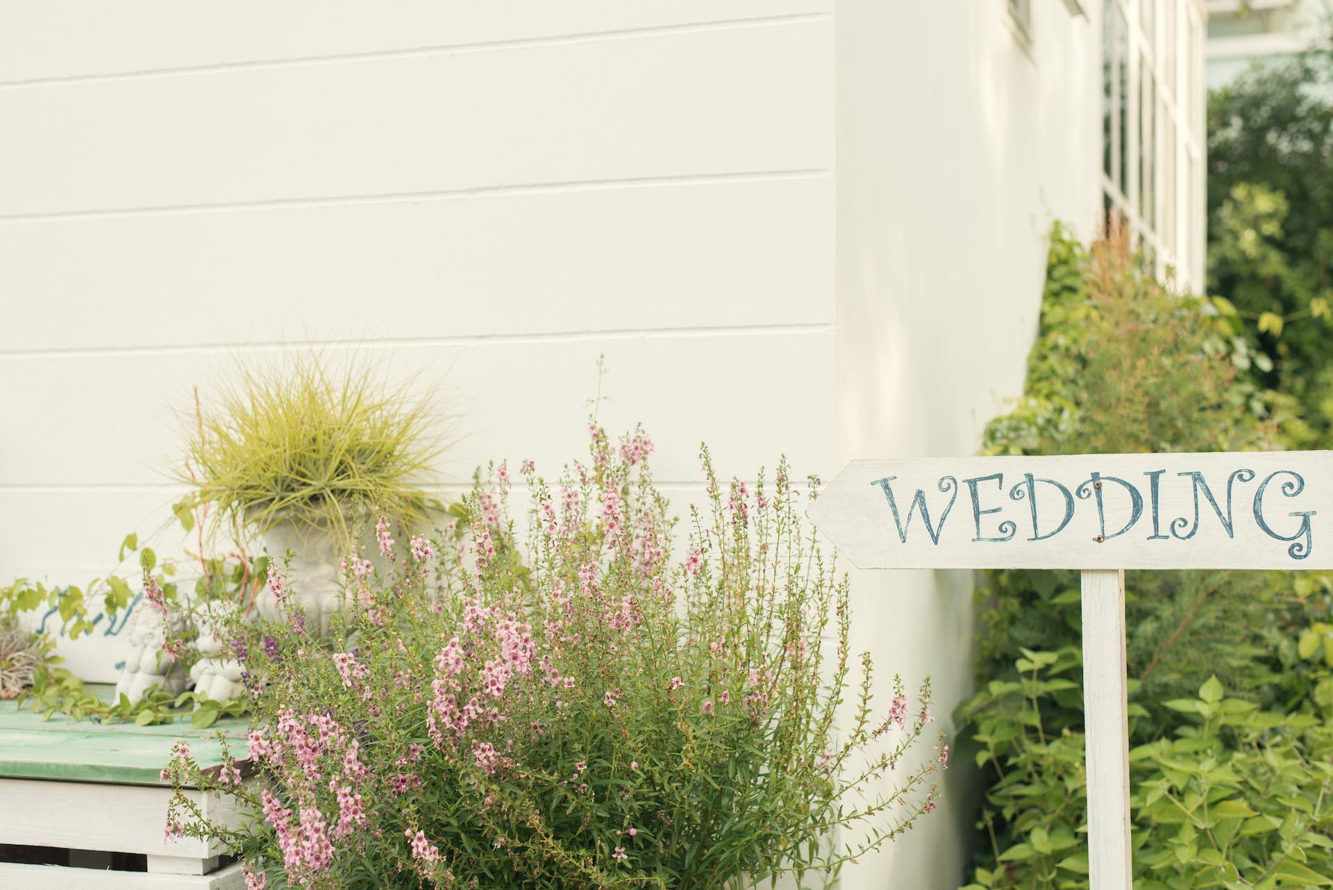 Une pancarte de mariage entourée de plantes | Source : Pexels