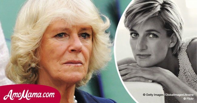 Un nouveau livre affirme que Camilla a parlé de Diana en utilisant les mots "une souris" et "une vache folle"