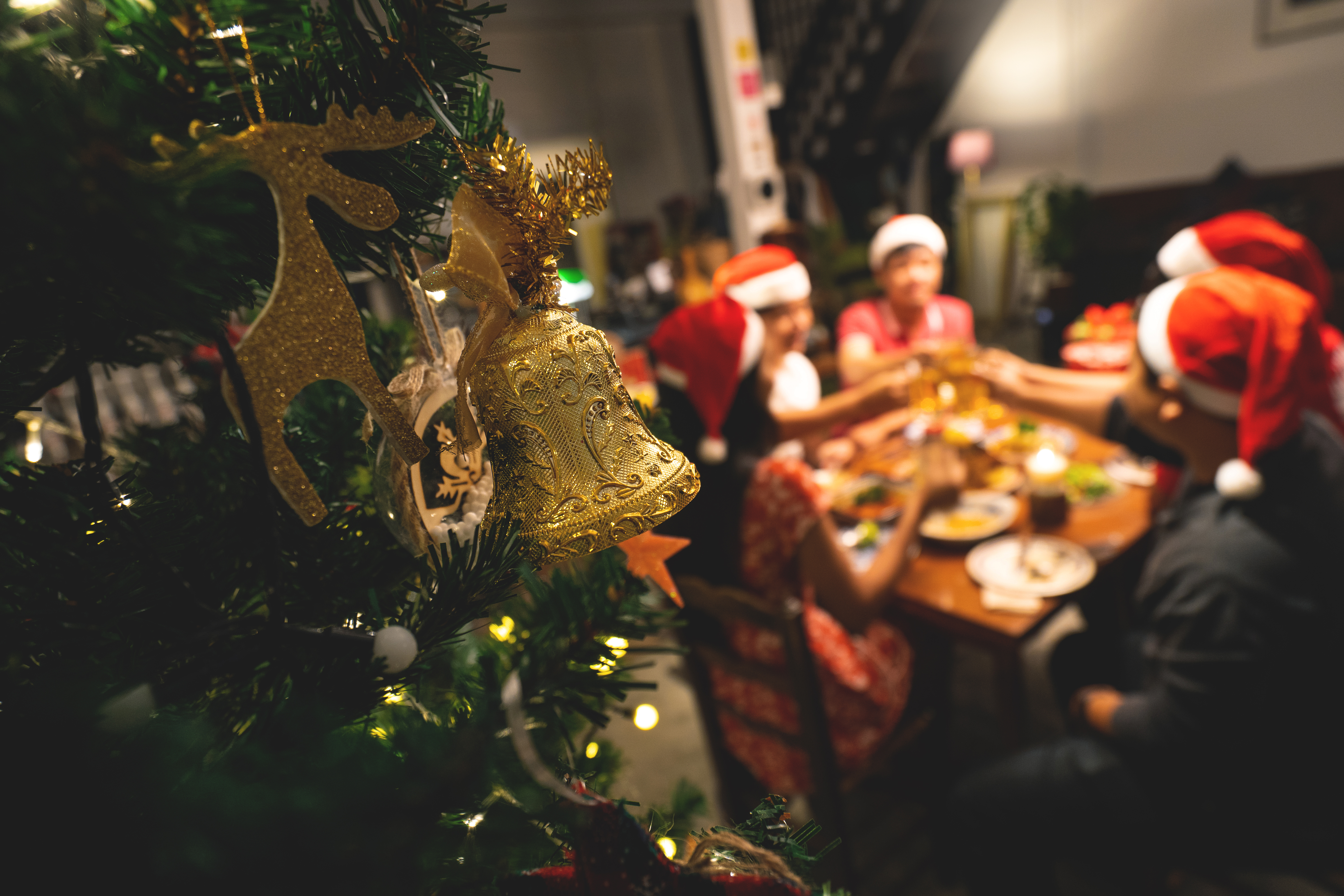 Un dîner de Noël | Source : Shutterstock