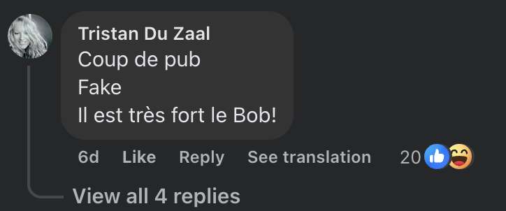 Commentaire d'une internaute sur le nouveau visage de Bob Sinclar | Source : capture Facebook