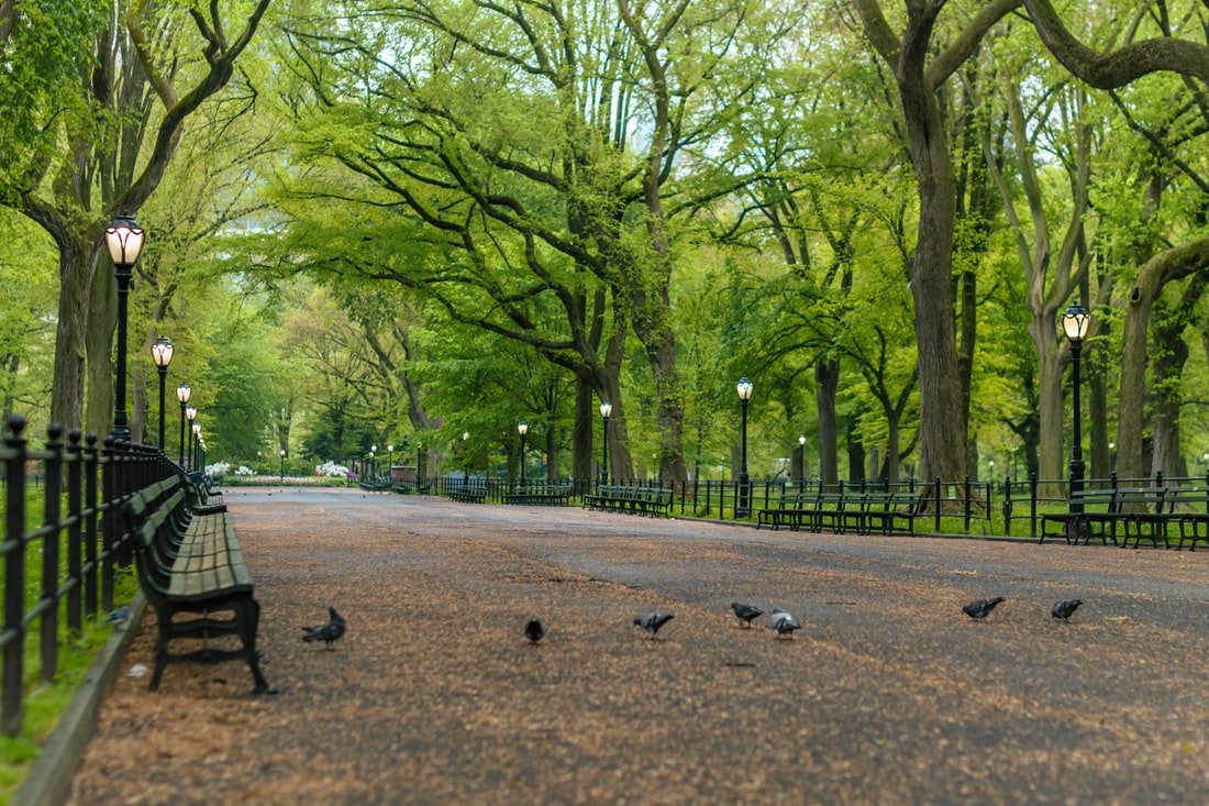 Un parc. | Photo : Shutterstock