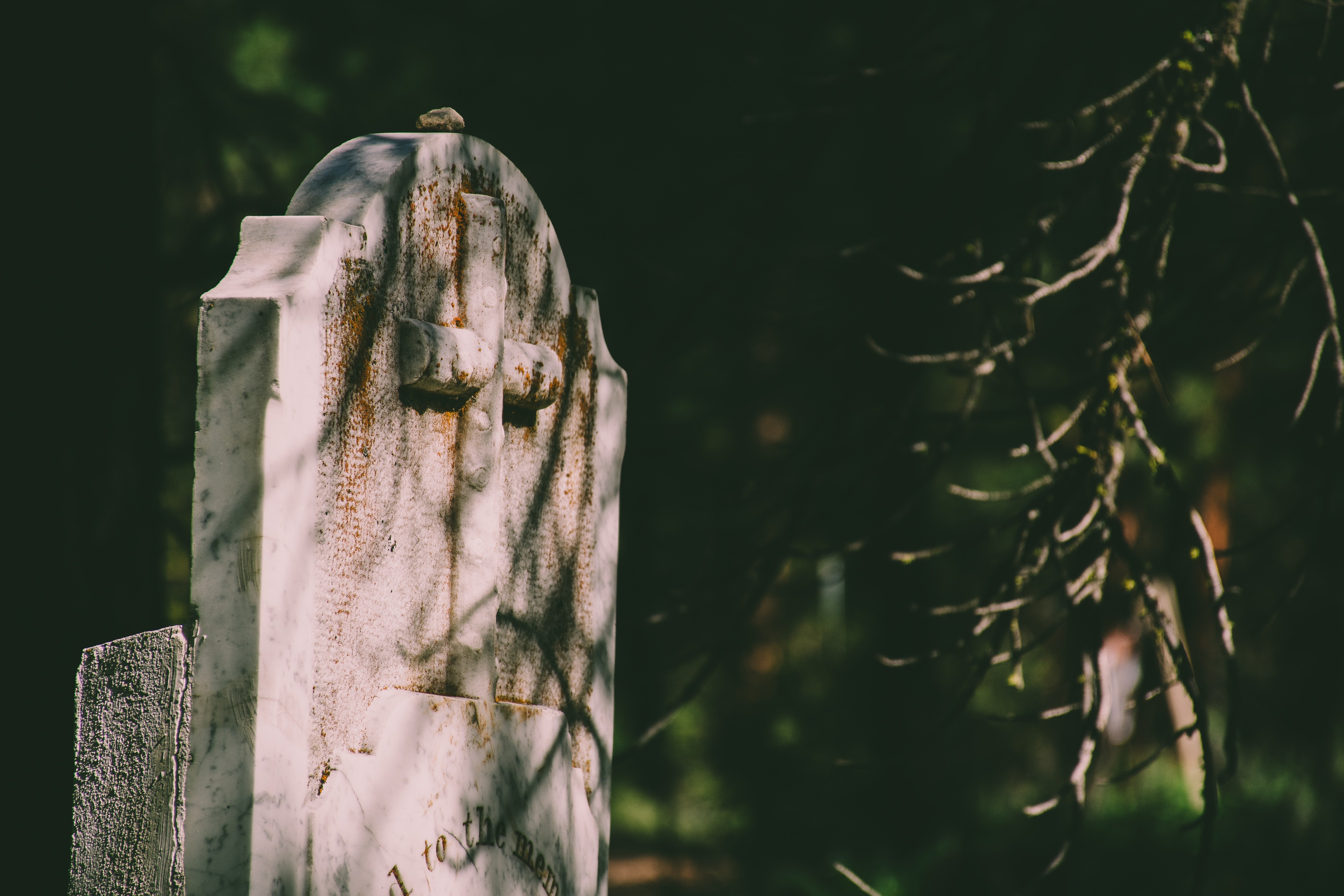 Une pierre tombale déserte | Photo : Getty Images