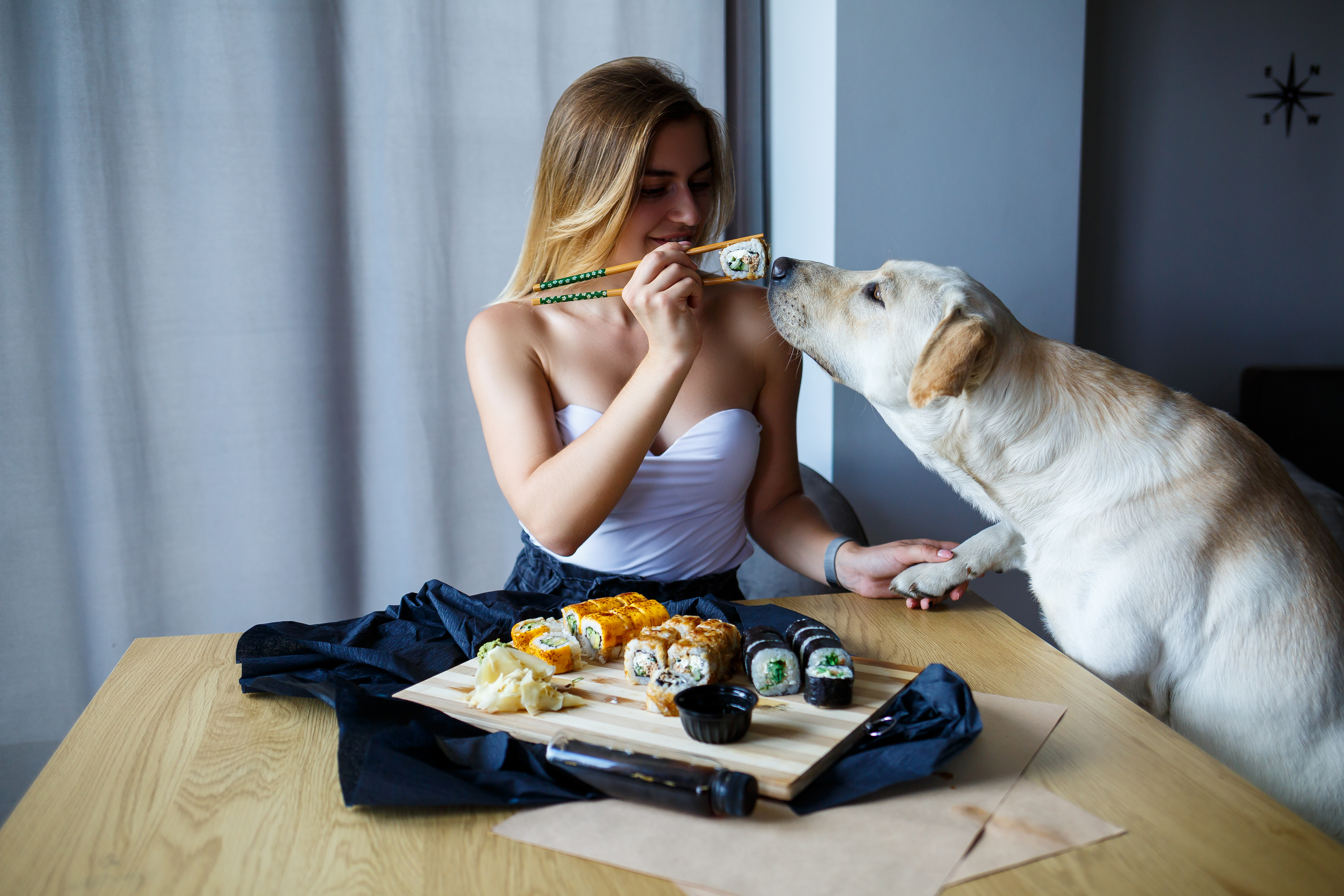 Une femme tient un morceau de sushi pendant qu'un chien le renifle. | Source : Shutterstock