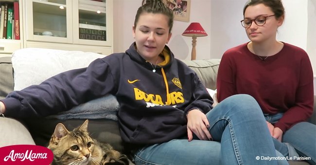 Villeneuve-sur-Verberie: Comment ces deux-soeurs ont retrouvé leur chat 11 ans après grâce à sa puce