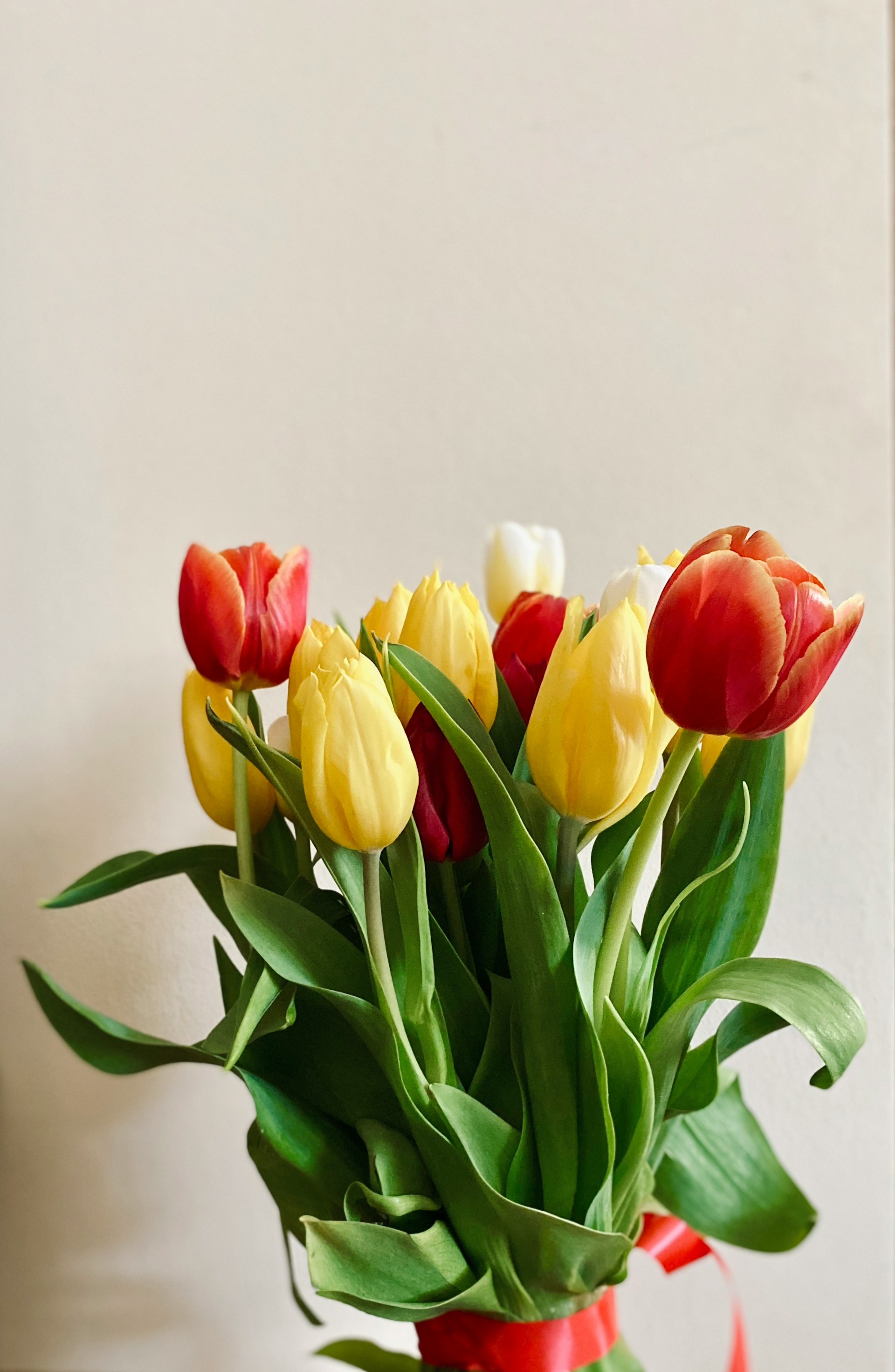 Un bouquet de tulipes | Source : Unsplash