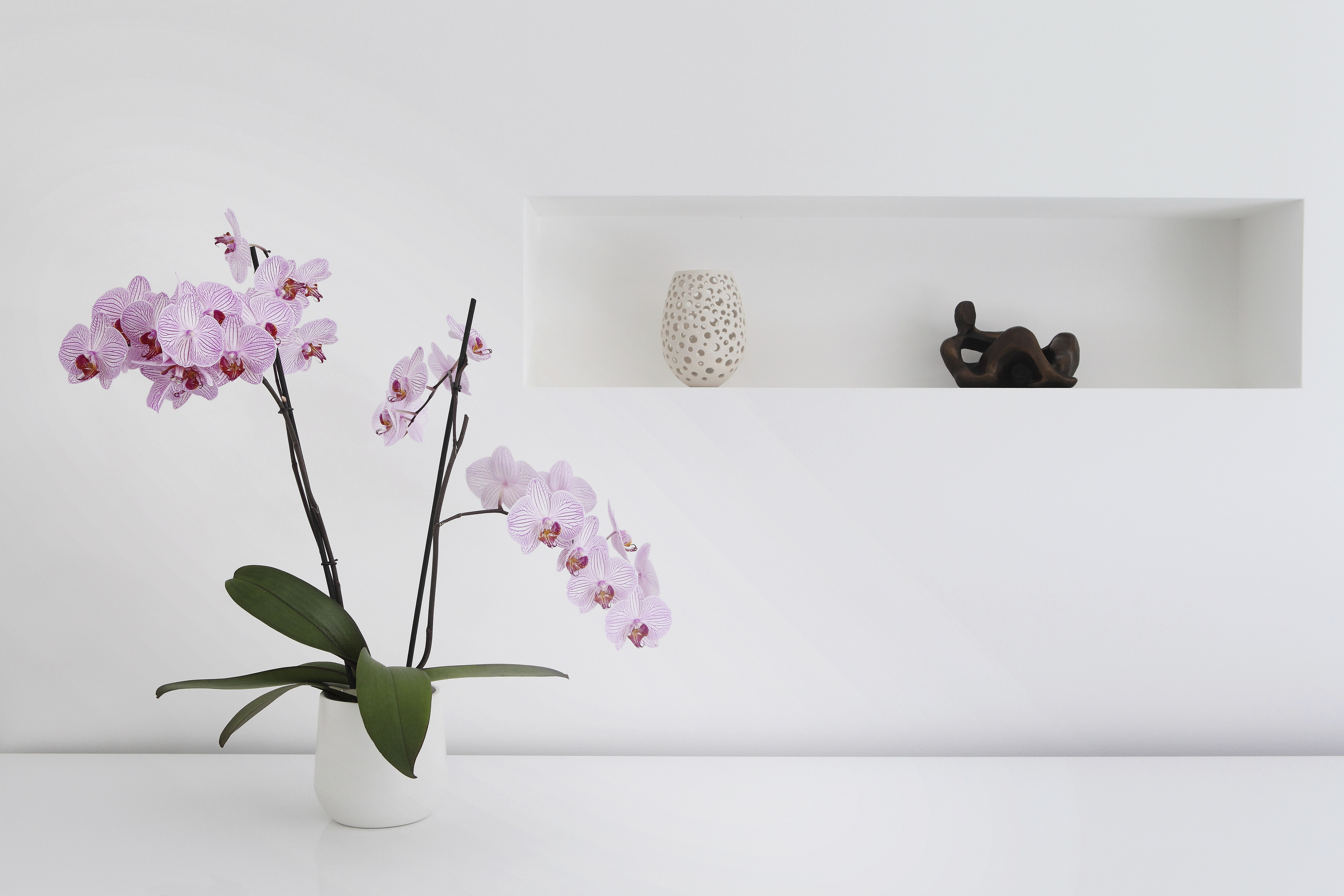 Plante d'orchidée rose et ornements dans la chambre | Source : Getty Images