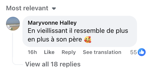 Commentaire d'une fan sur la ressemblance de David Hallyday à son père. I Source : facebook.com/femmeactuellefr