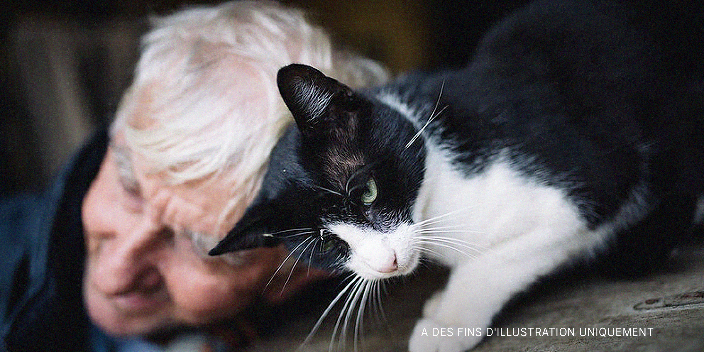 Gros plan d'un chat jouant avec un vieil homme | Source : Flickr.com/shixart1985 (CC BY 2.0)