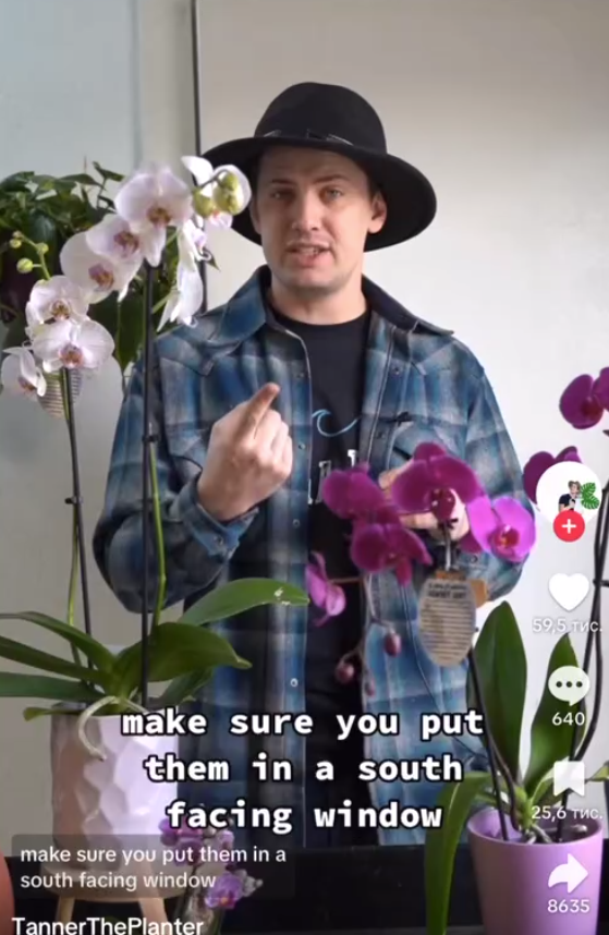 Tanner talking about orchids, seen in a TikTok video dated February 19, 2023 | Source: TikTok/@tannertheplanter