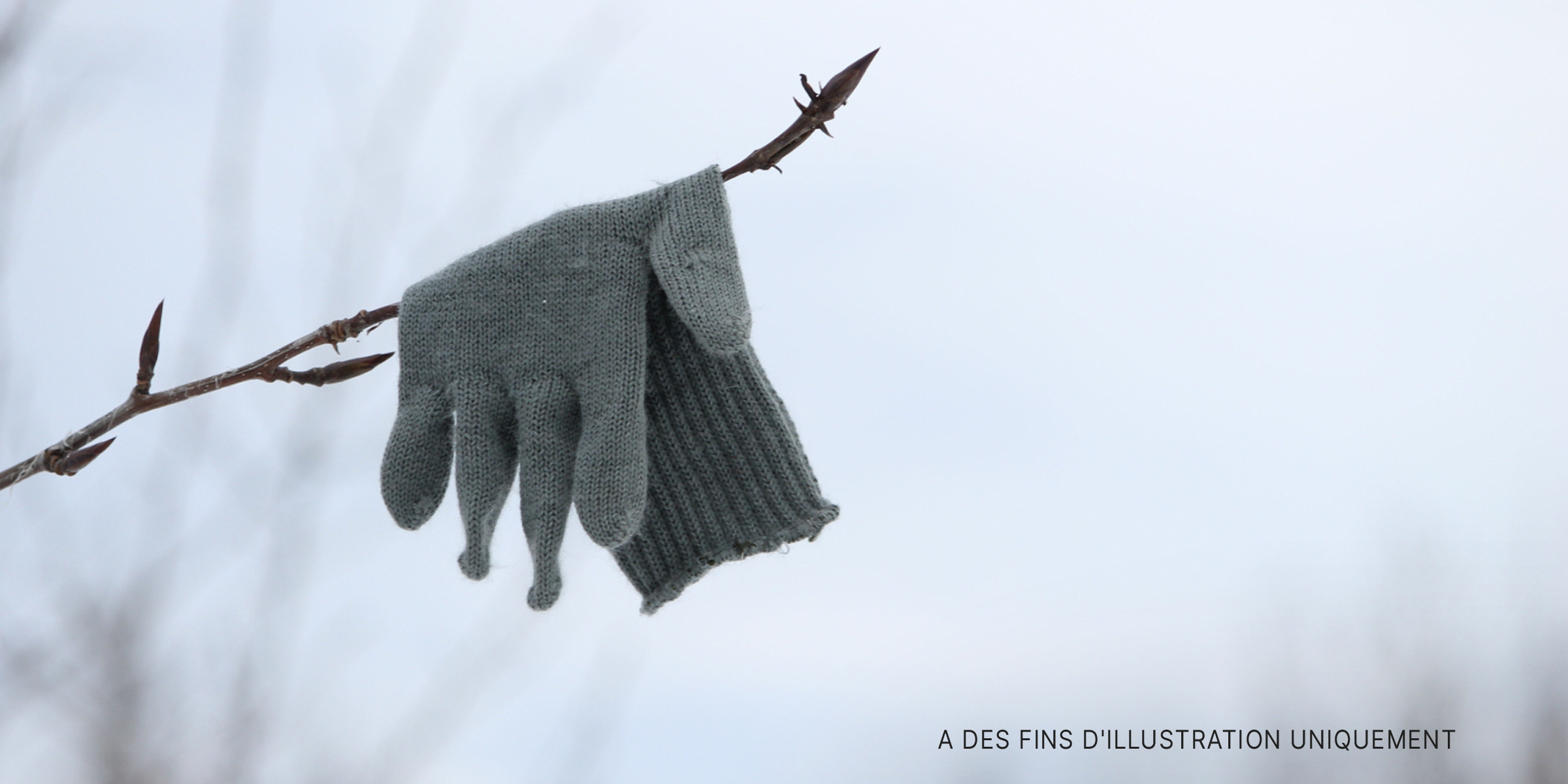 Un gant accroché à une branche | Source : Shutterstock