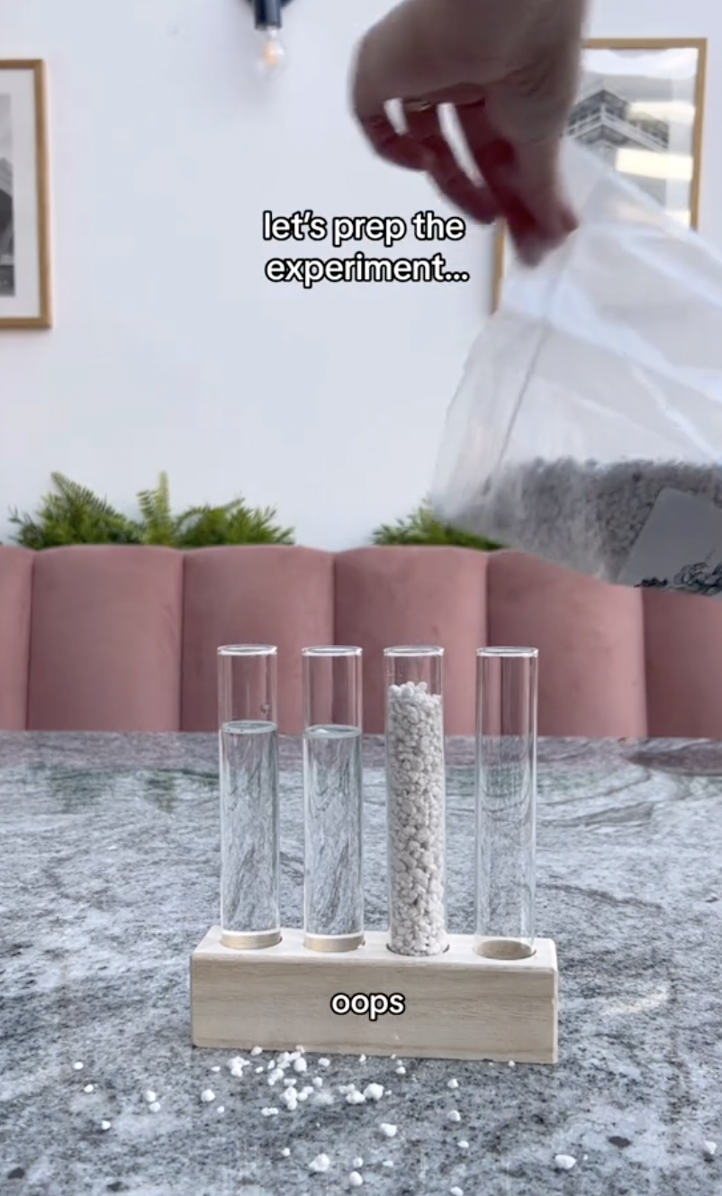 Un tube à essai pour l'expérience de propagation étant rempli de perlite dans un clip téléchargé le 5 octobre 2024 | Source : TikTok/thelittlelifelately