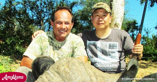 Le chasseur qui avait abattu un buffle sauvage a lui-même été tué par un autre membre du troupeau