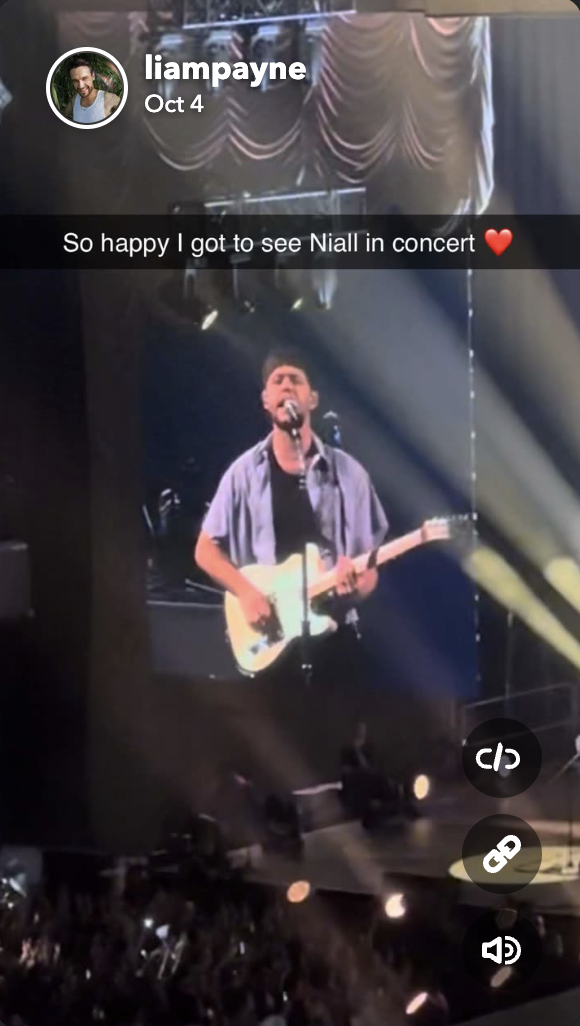 Liam Payne partage une photo Snapchat de la performance de Niall Horan, postée le 4 octobre 2024 | Snapchat.com/liampayne.