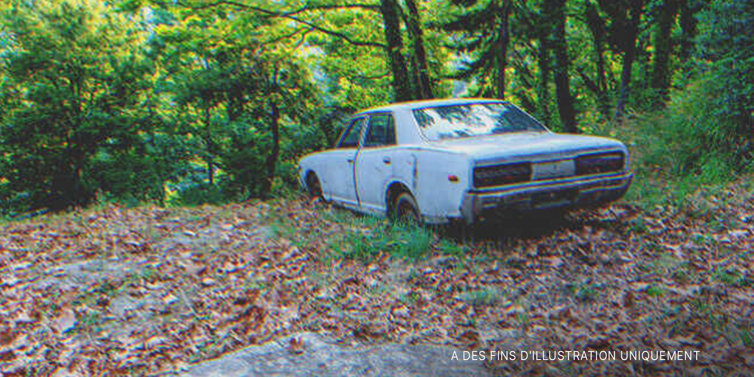 Une voiture abandonnée | Source : Shutterstock