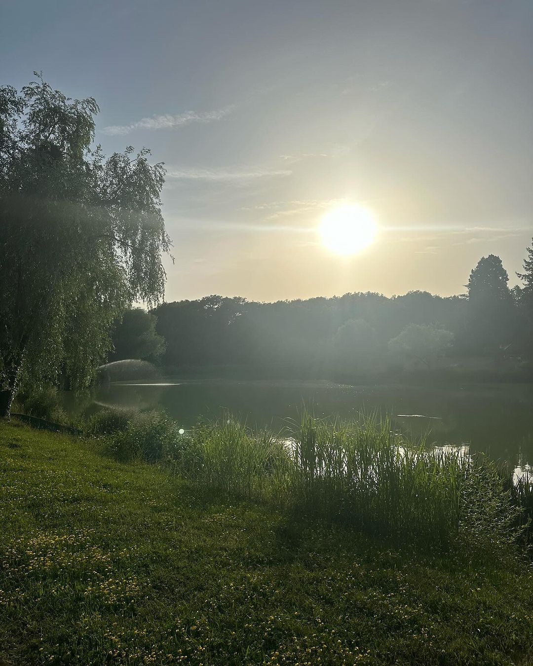 Intérieur de la propriété d'Alain Delon, La Brulerie, à Douchy, dans le centre de la France, d'après un post Instagram, daté du 1er août 2024. | Source : Instagram/anouchkadelon/