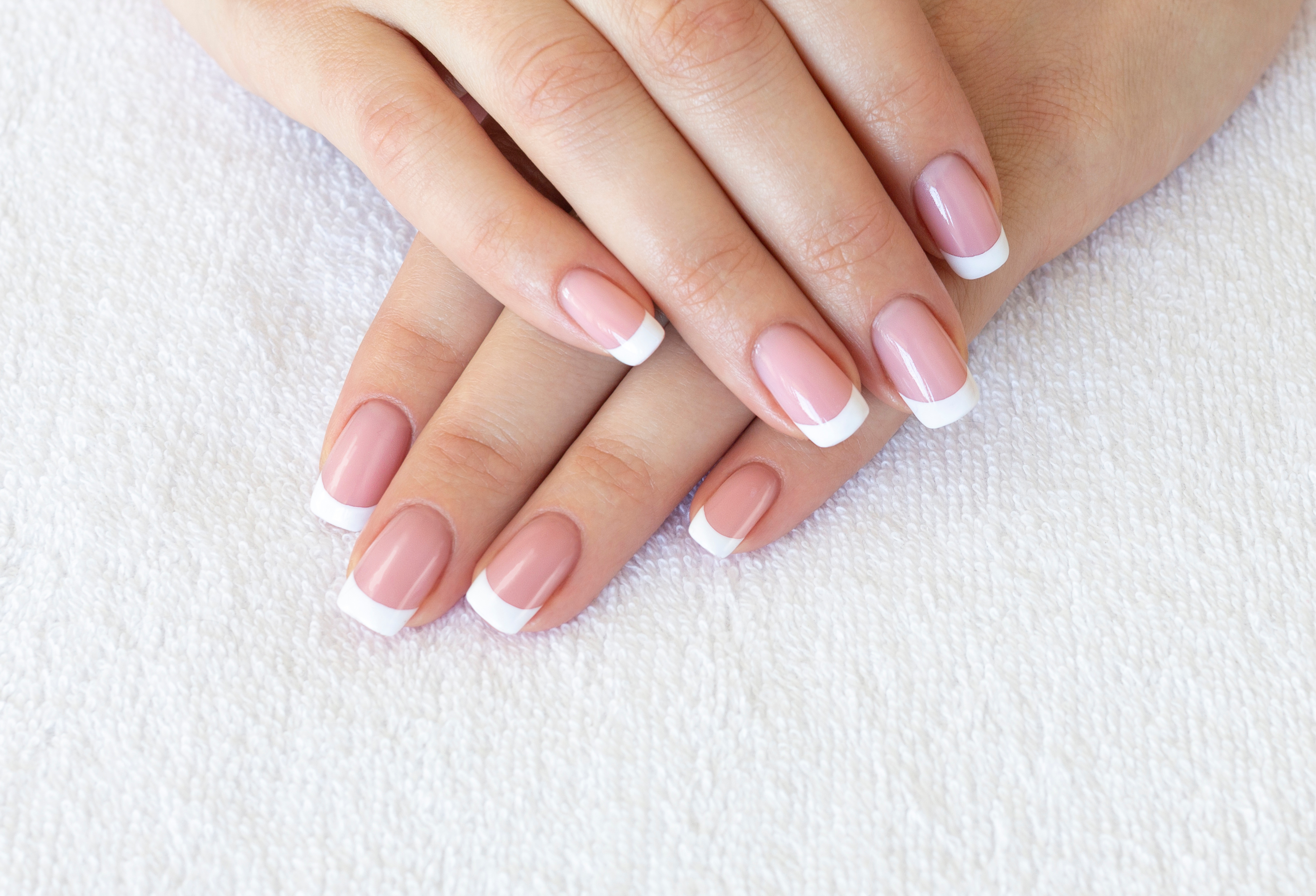 Manucure française standard avec vernis à ongles transparent sur des mains de femme | Source : Shutterstock