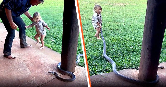 Matt Wright photographié avec son fils Banjo, 2 ans, alors qu'il essaie de manipuler un python géant. | Photo : instagram.com/mattwright