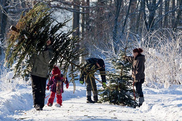 Une Famille choississant son arbre de Noël | Photo : Getty Image