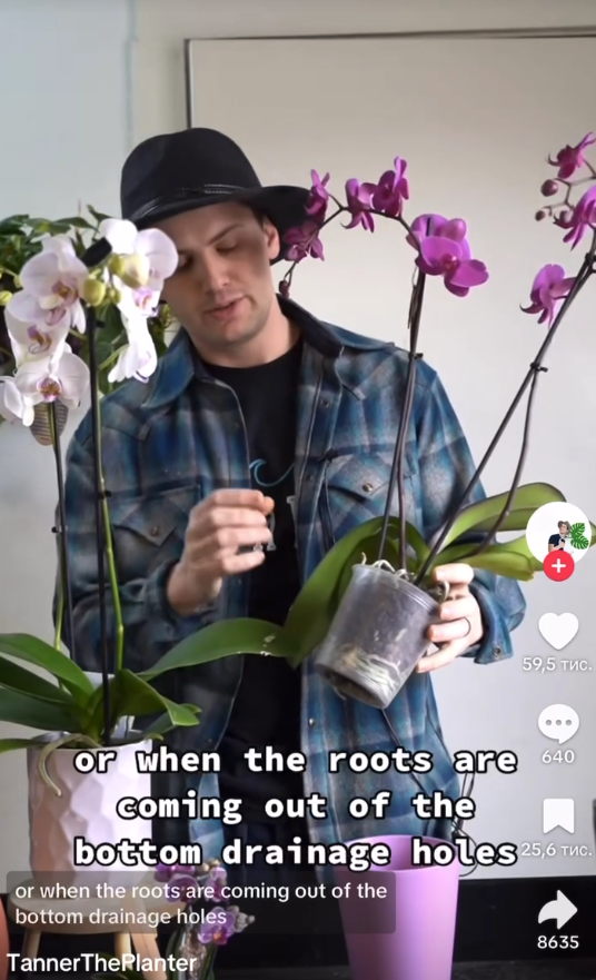 Tanner tenant une plante, vu dans une vidéo TikTok datée du 19 février 2023 | Source : TikTok/@tannertheplanter