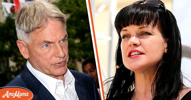 GAUCHE : Mark Harmon visitant les studios Sirius XM, 2014, New York. DROITE : Pauley Perrette au Los Angeles Times Festival Of Books 2015 à l'USC. | Photo : Getty Images