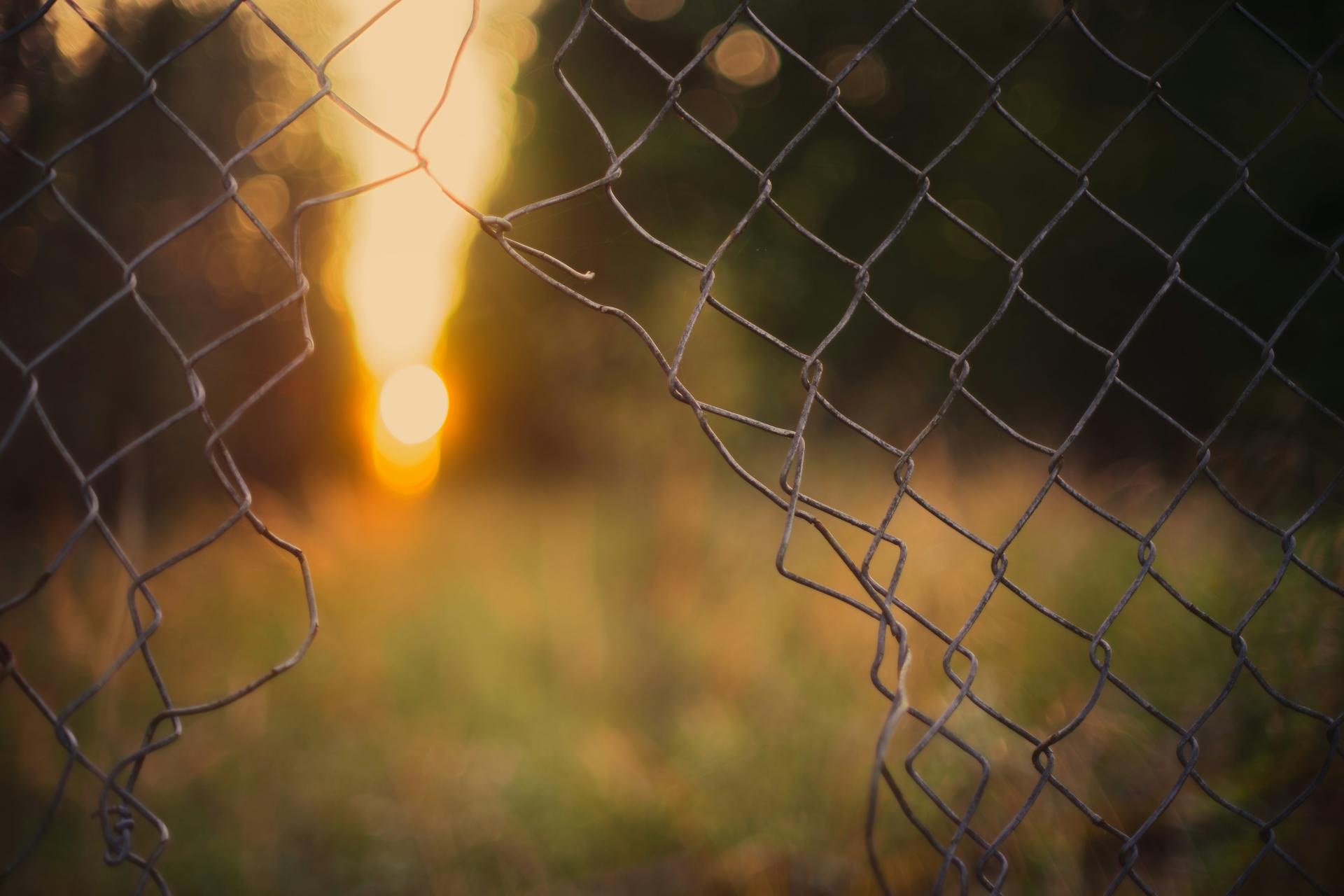 Une clôture cassée | Source : Pexels