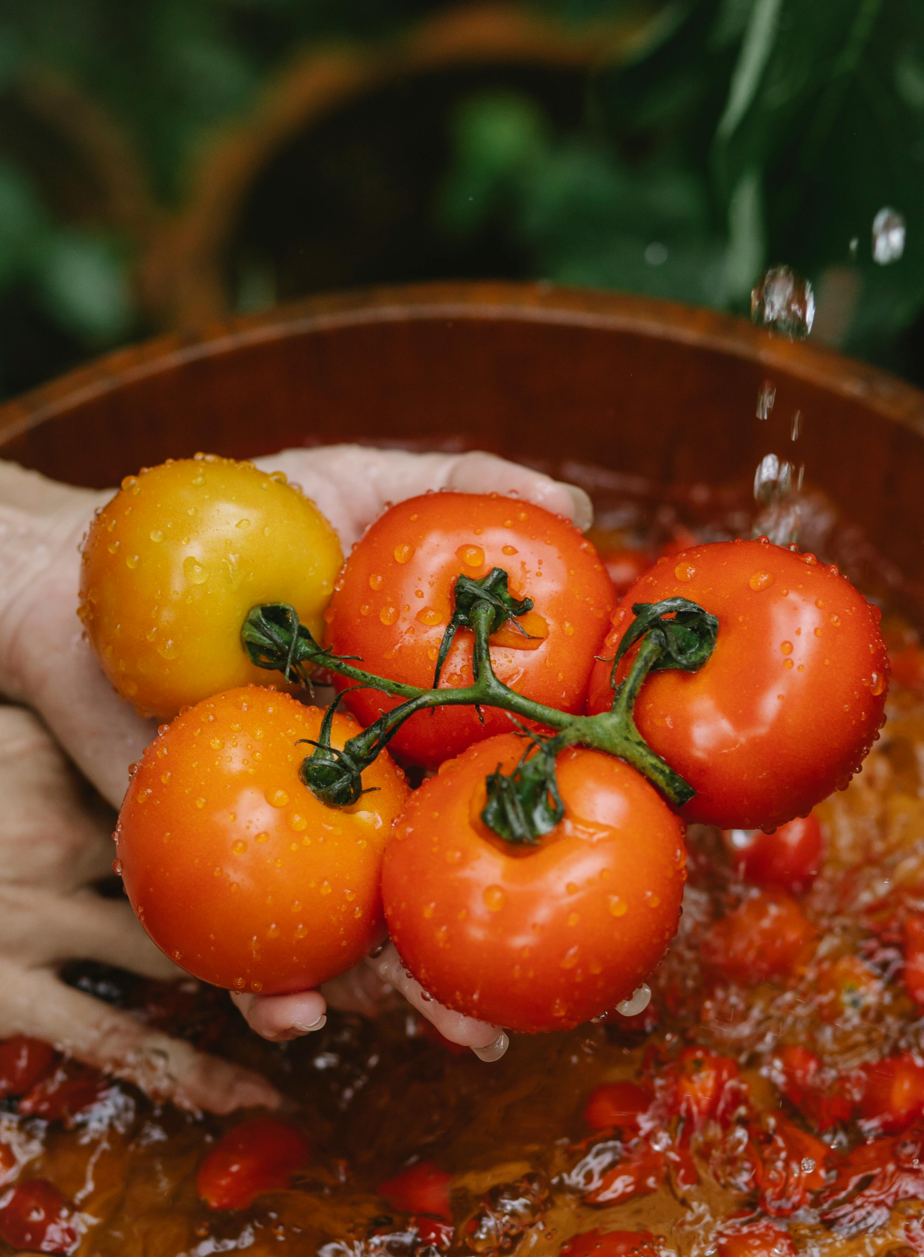 Un lot de tomates de jardin lavées | Source : Pexels