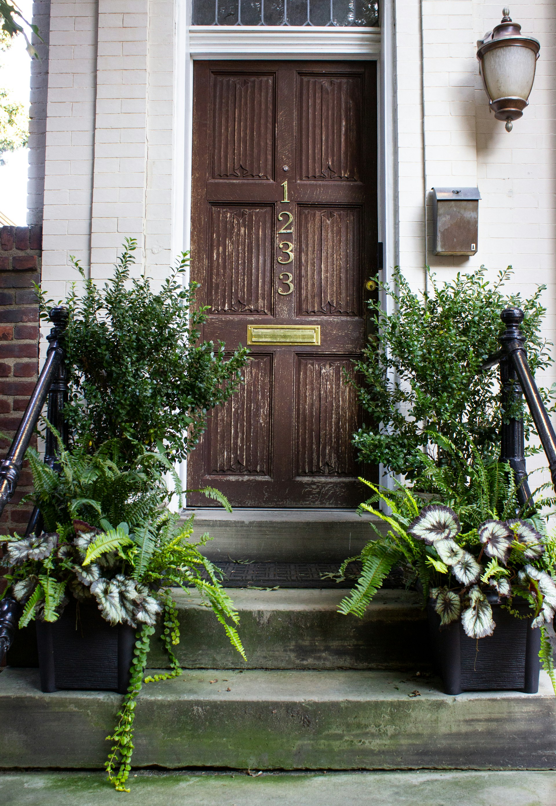 Une porte en bois marron avec des plantes vertes | Source : Unsplash