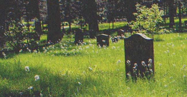 Des pierres tombales dans un cimetière | Source : Shutterstock