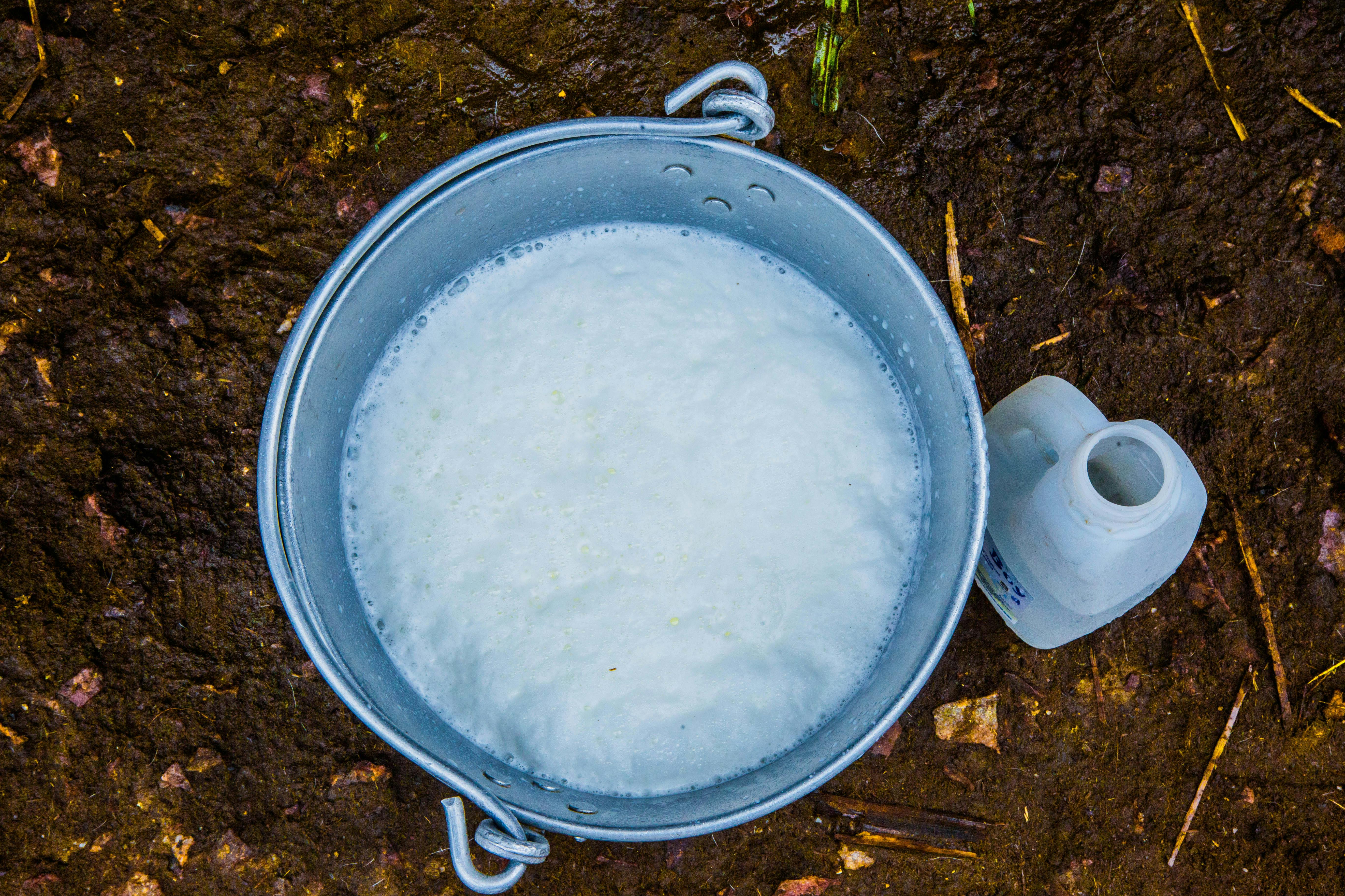 Un seau d'eau savonneuse | Source : Pexels