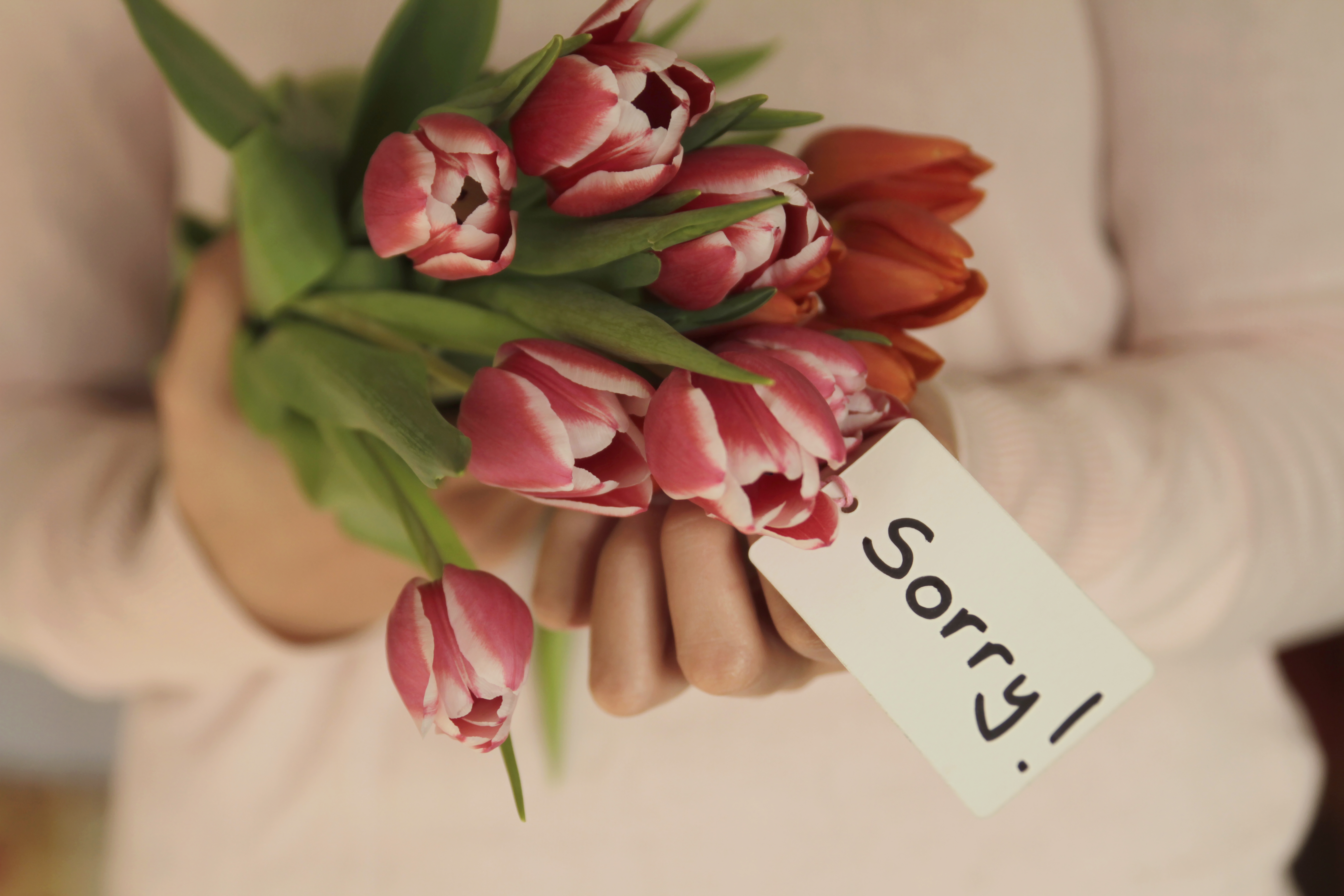 Des fleurs avec un mot disant pardon | Source : Getty Images