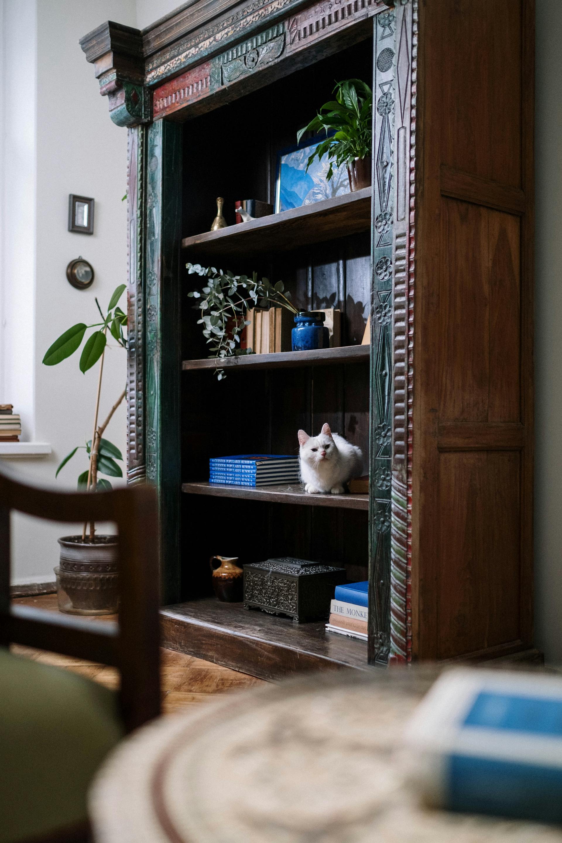 A library in a living room | Source: Pexels