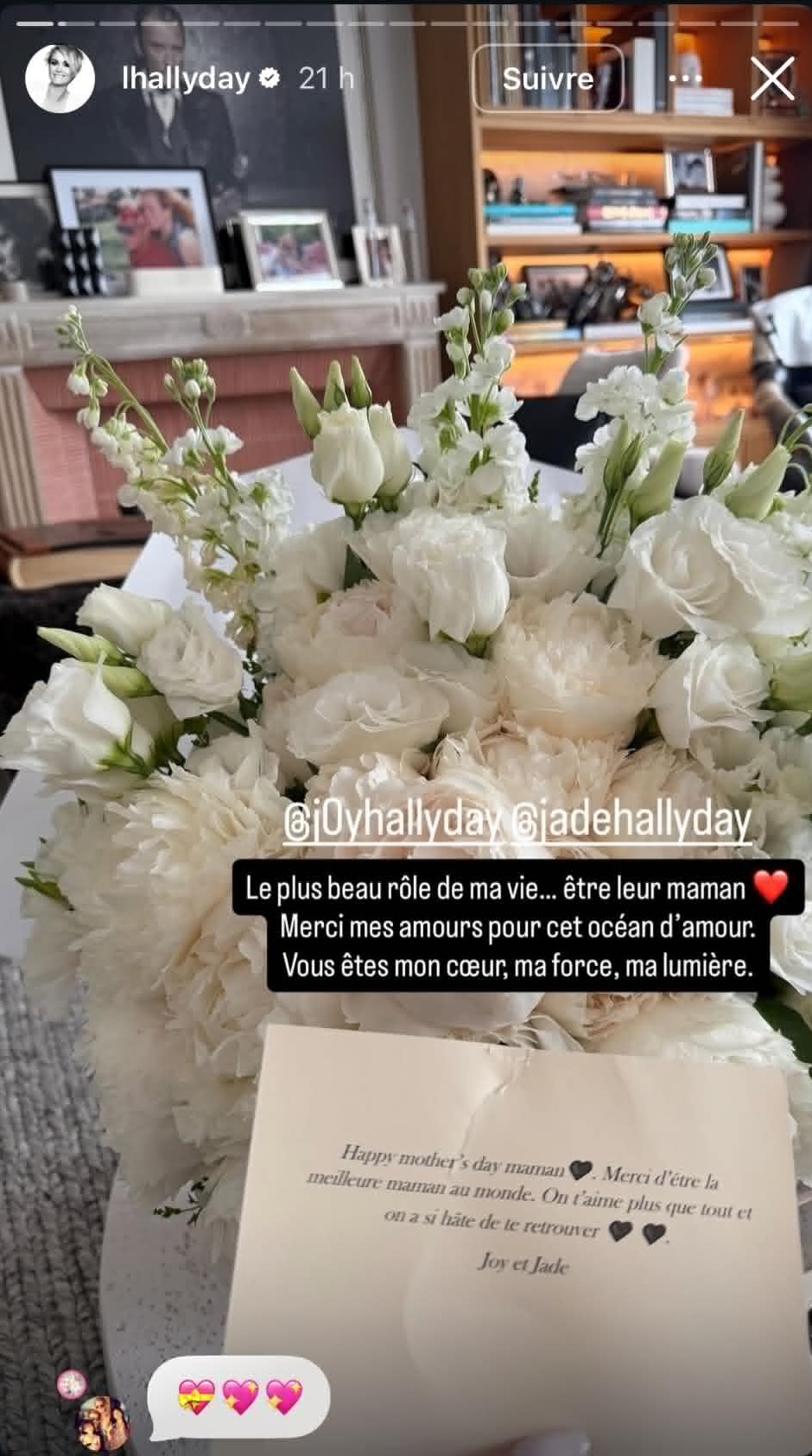 Capture d'écran d'une story I Source : https://www.instagram.com/lhallyday/