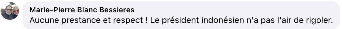 Commentaire d'internaute sur le geste d'Emmanuel Macron | Source : capture facebook.com/parismatchmag