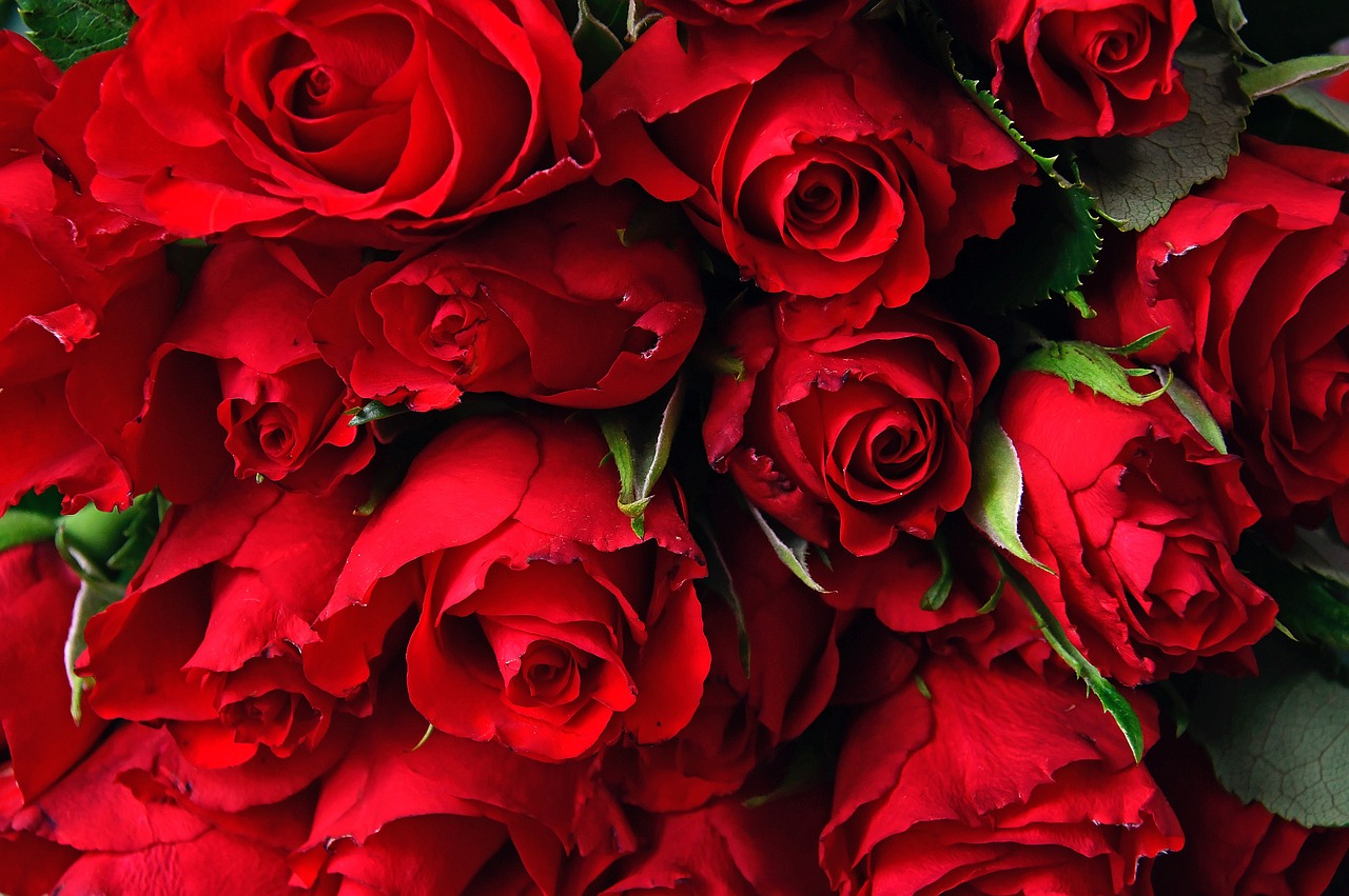 Un bouquet de roses rouges | Source : Pixabay