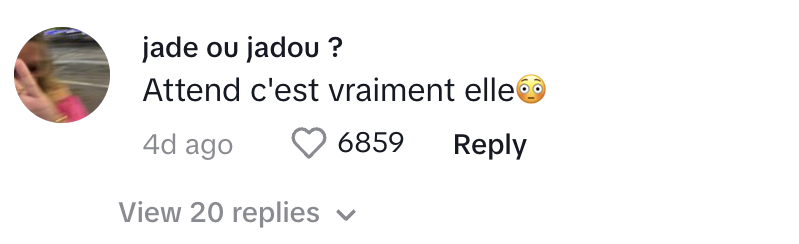 Commentaire d'une internaute sur la publication de @its_zozooo | Source : TikTok/@its_zozooo