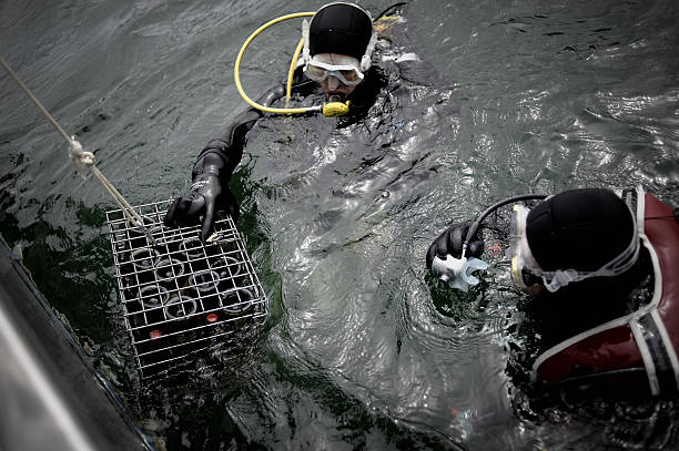 Equipe de plongeurs | Photo : Getty Images