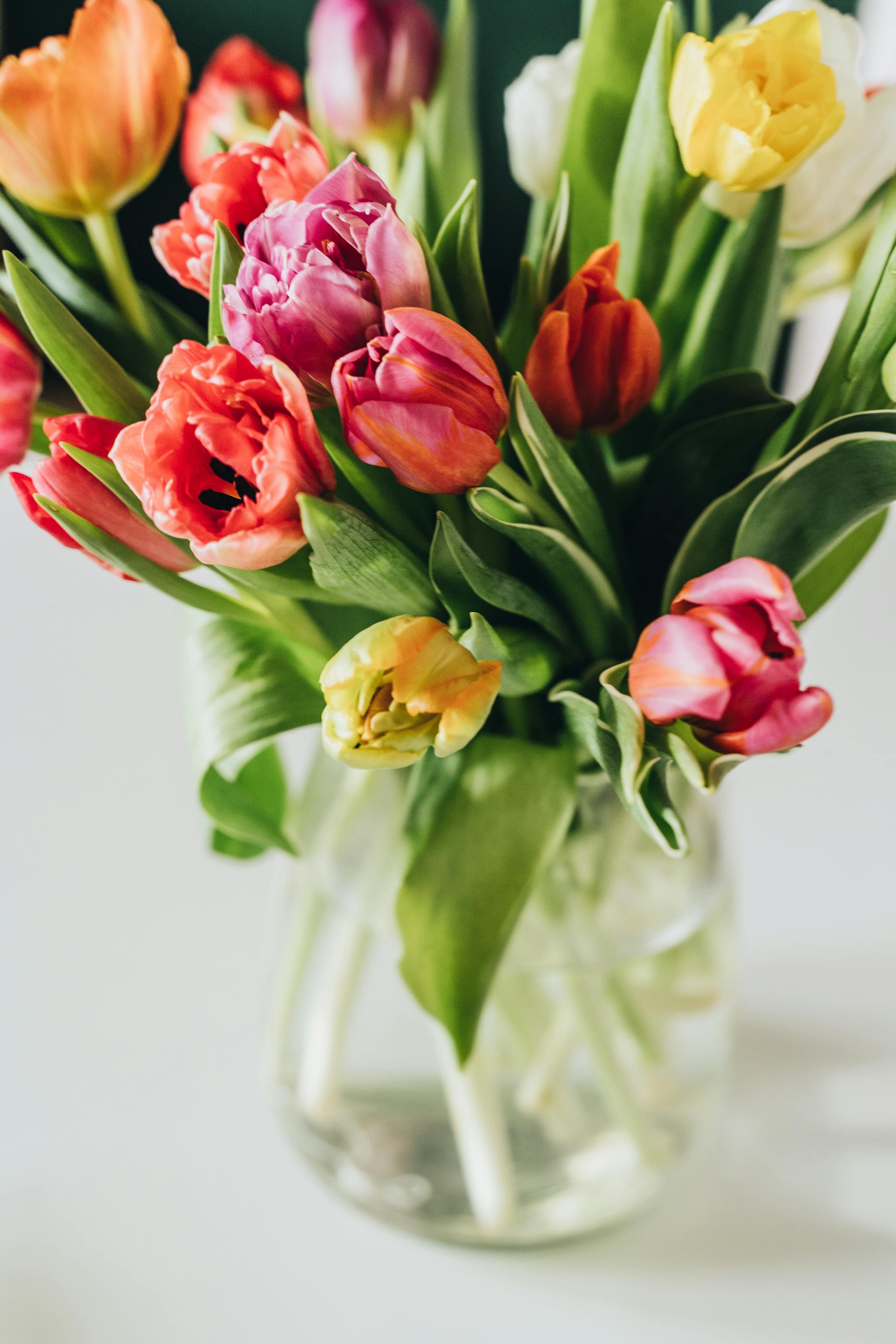 Tulipes dans un vase | Source : Pexels